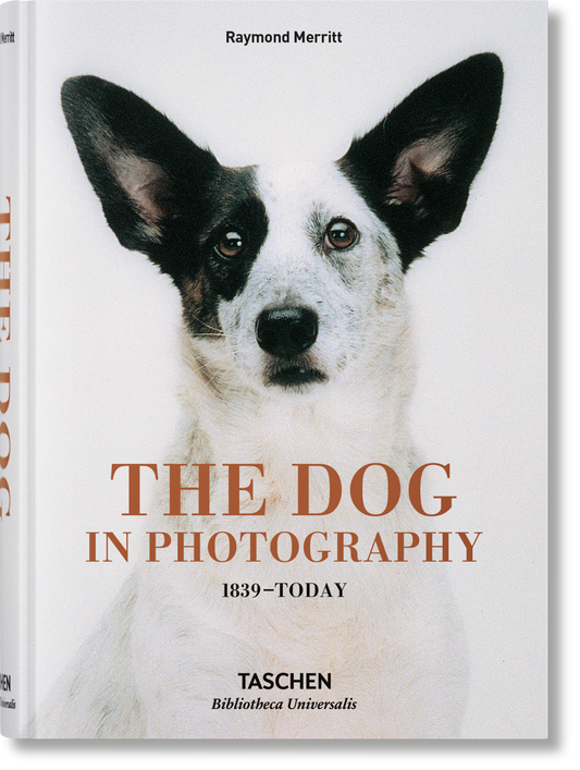 El perro en la fotografía 1839-hoy