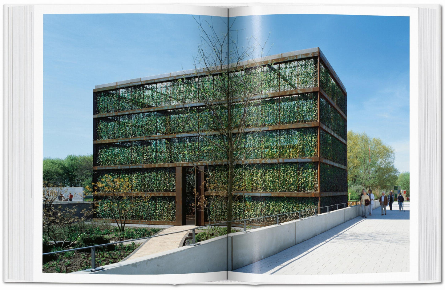 Arquitectura verde