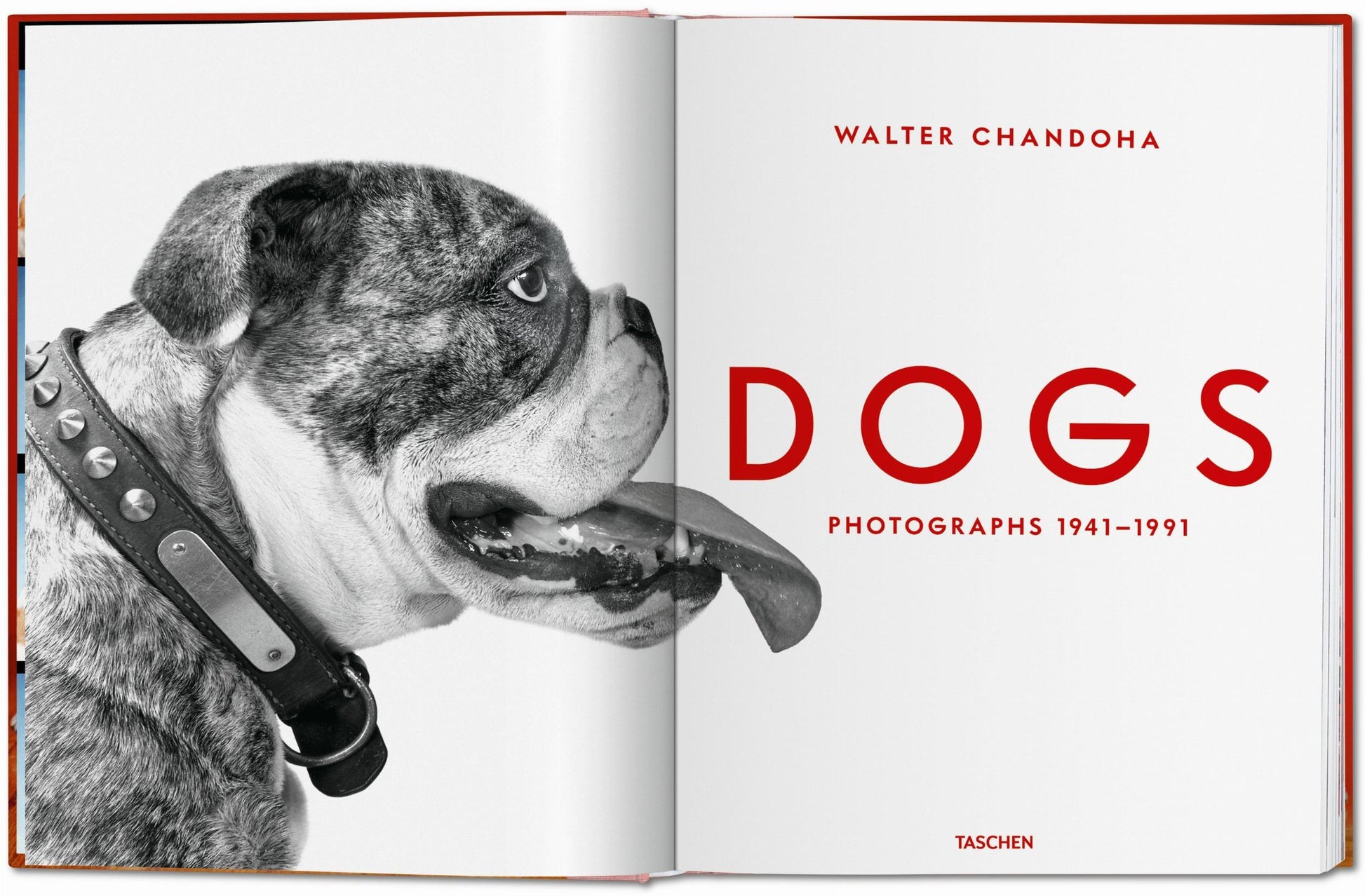 Walter Chandoha. Perros. Fotografías 1941–1991