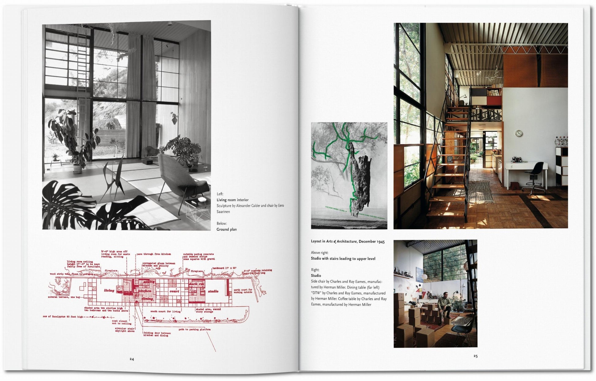 Case Study Houses. Arte Básico
