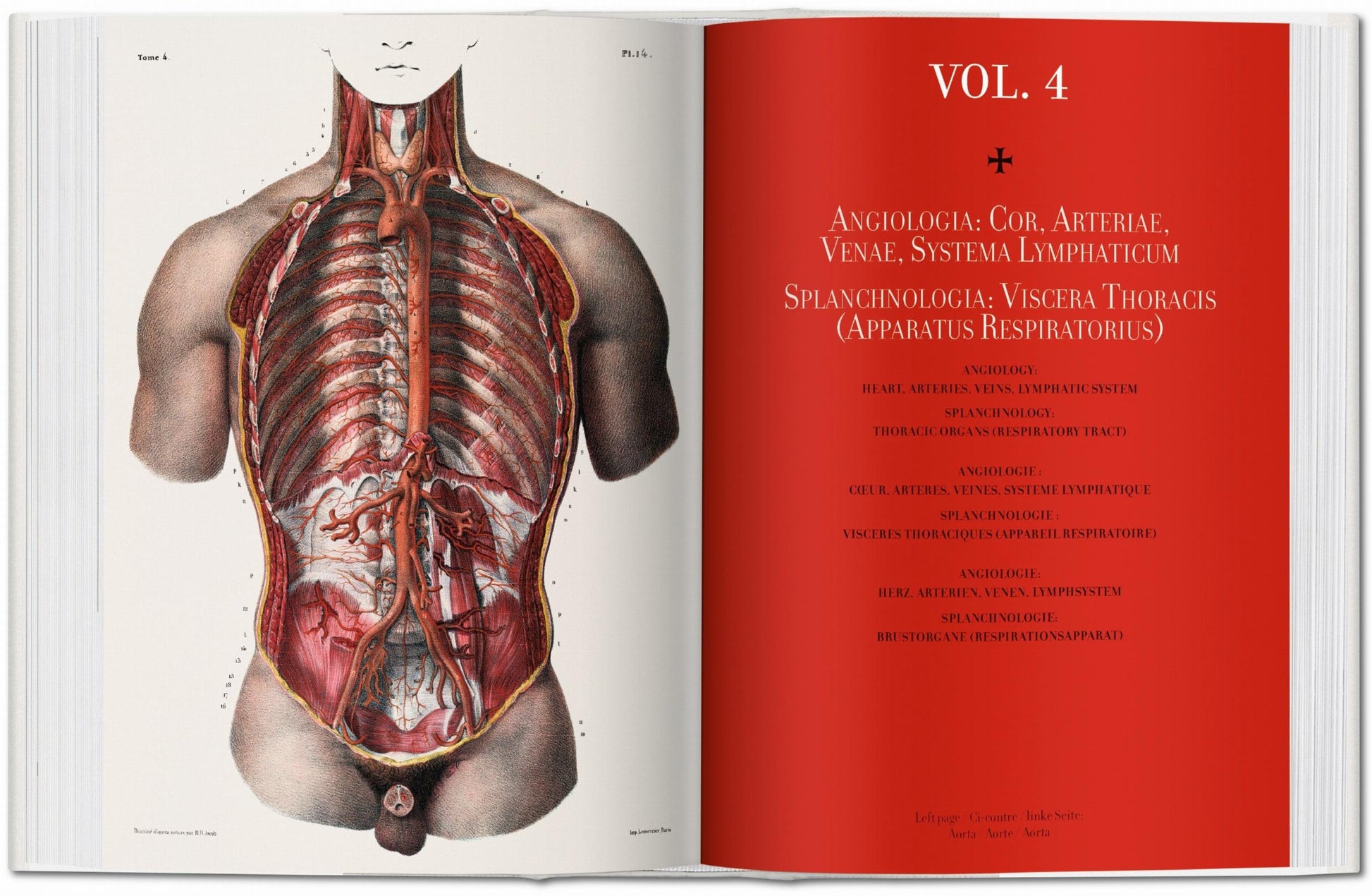 Bourgery. Atlas de anatomía humana y cirugía