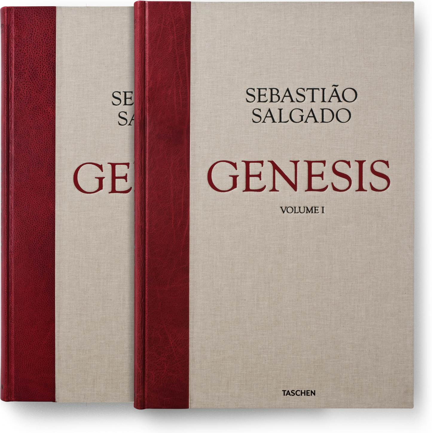 Sebastião Salgado. Génesis