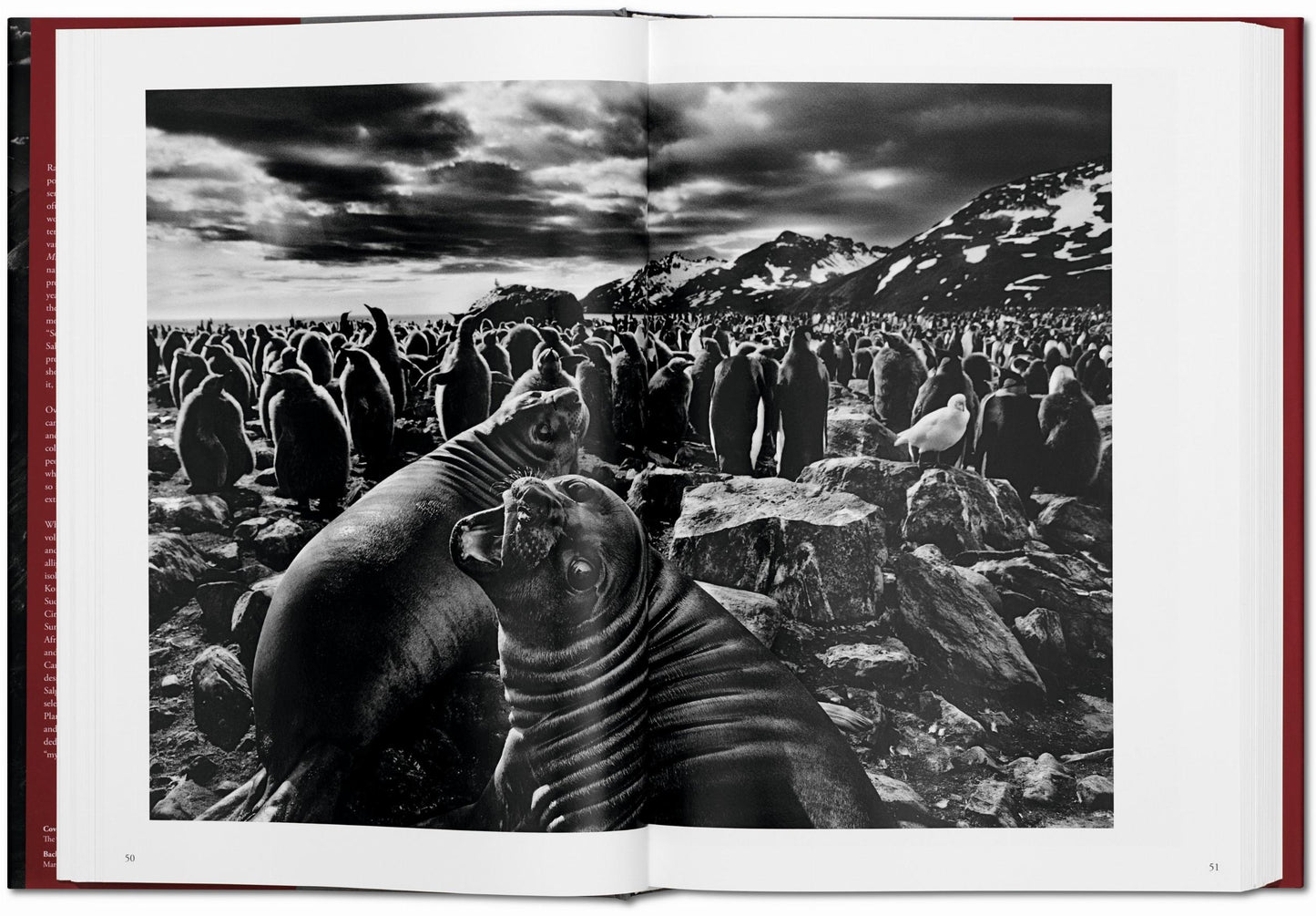 Sebastião Salgado. Génesis