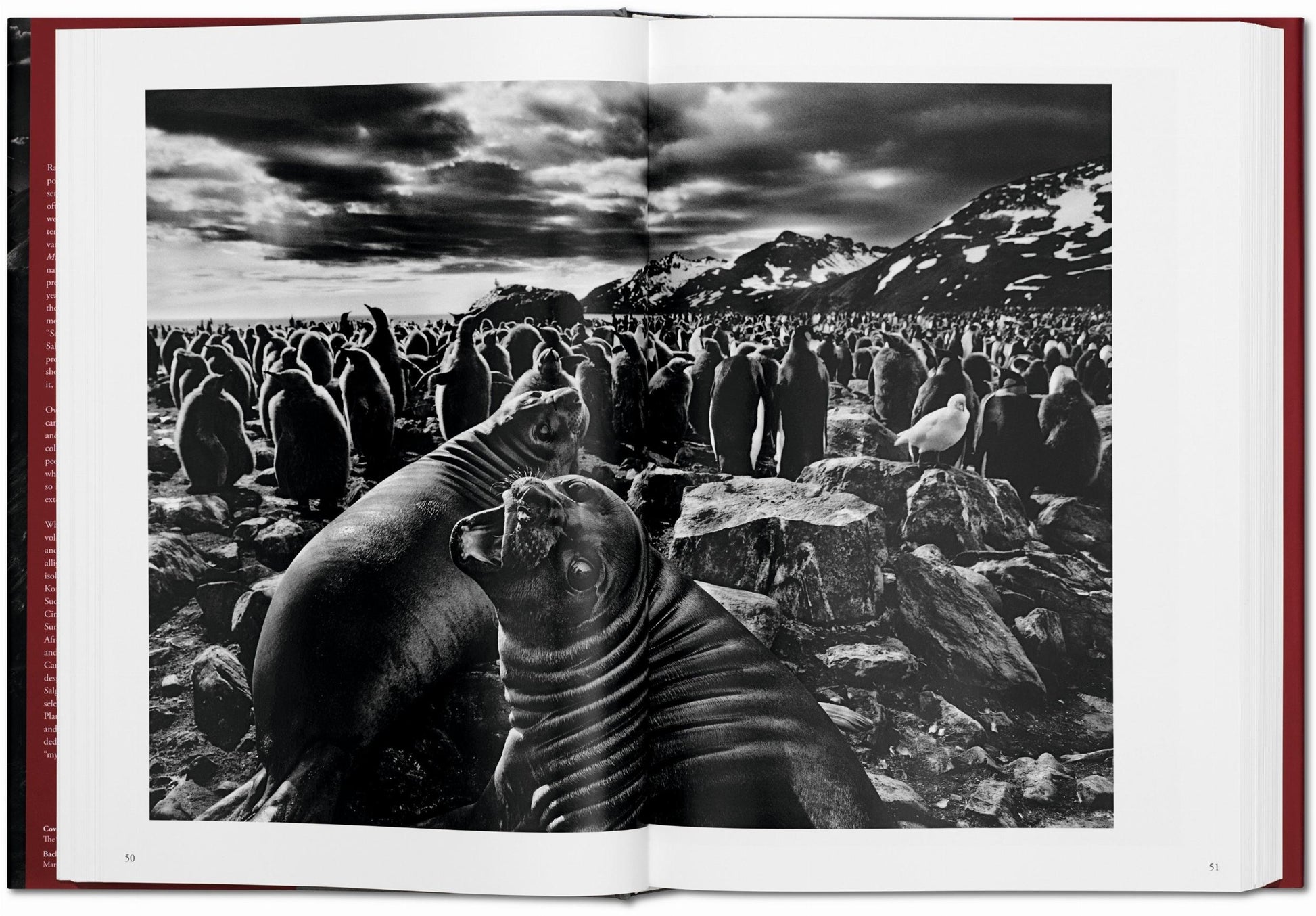 Sebastião Salgado. Génesis