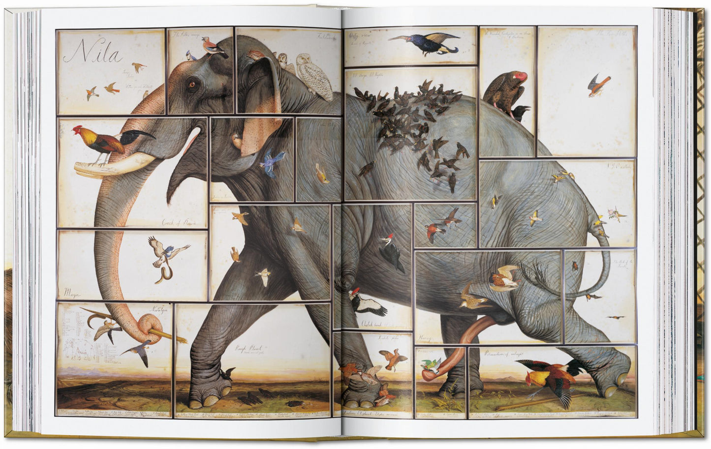 Walton Ford. 40.ª ed.
