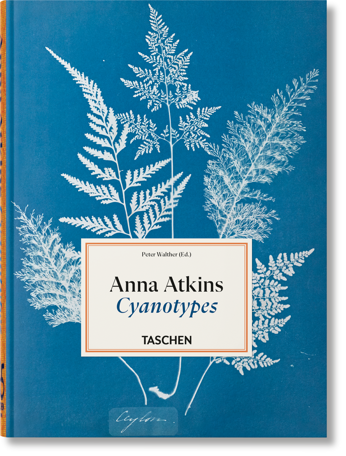 ANNA ATKINS. CYANOTYPES. 45TH ED.