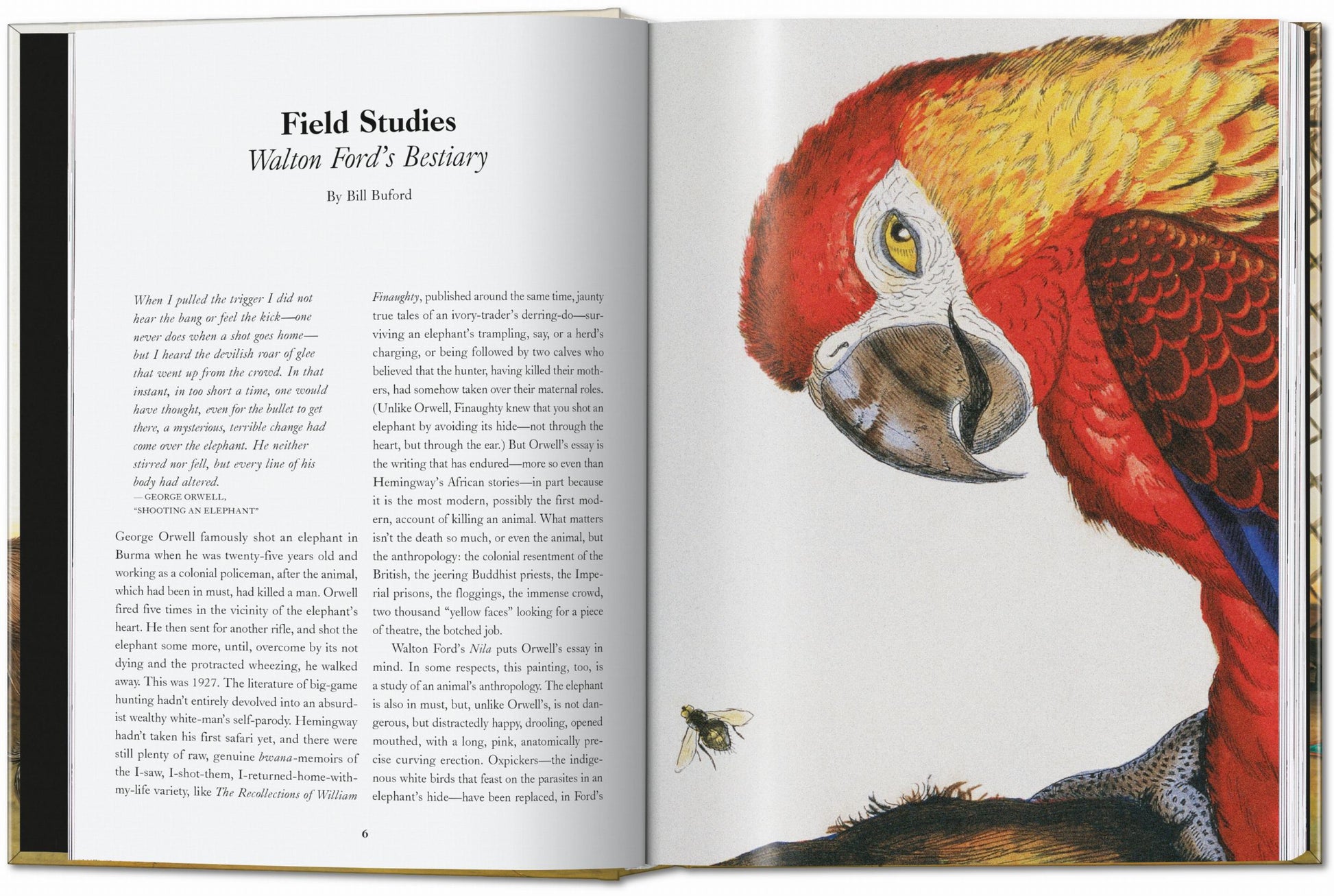 Walton Ford. 40.ª ed.