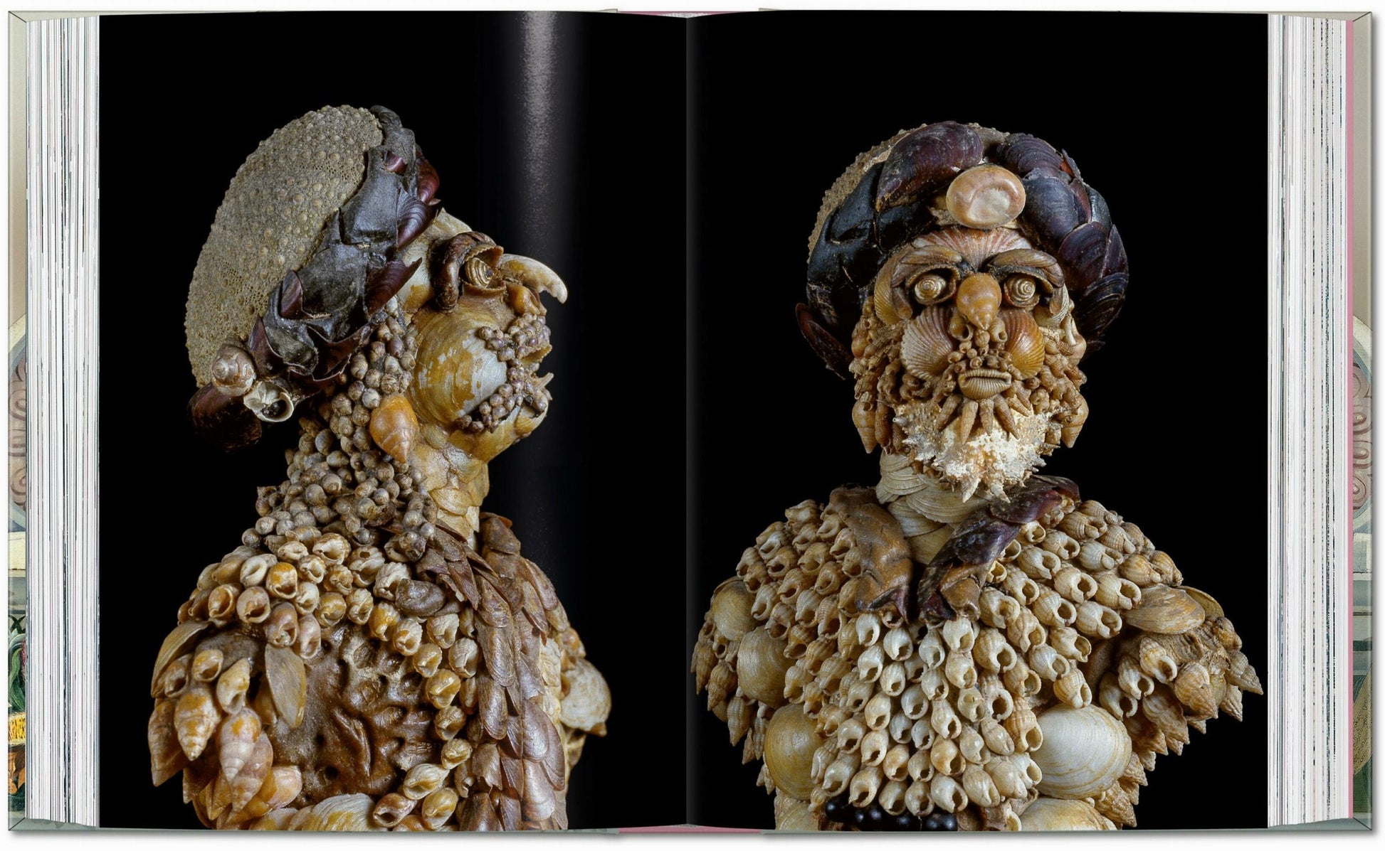 Massimo Listri. Gabinete de Curiosidades. 45ª ed.