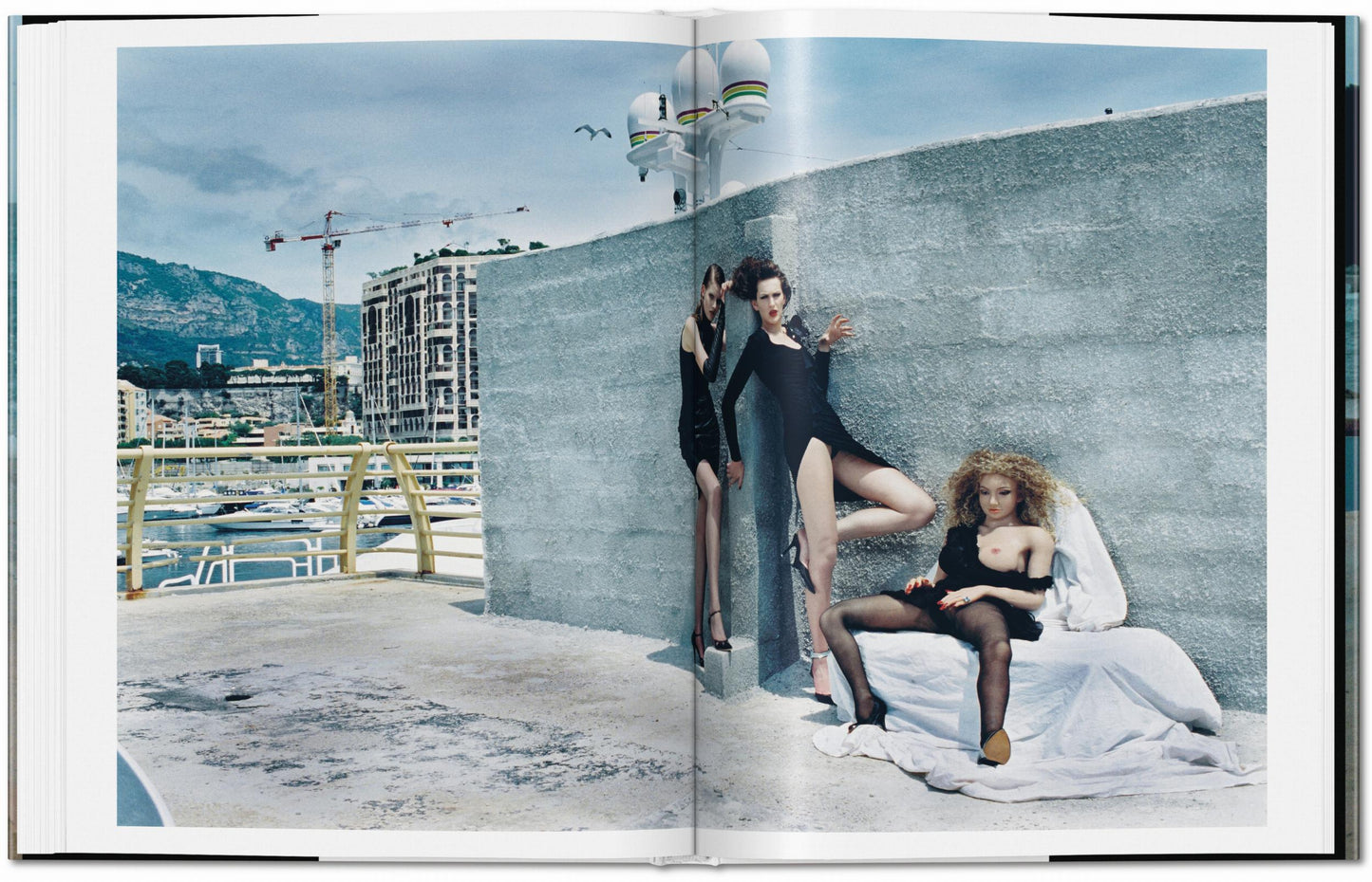 HELMUT NEWTON. A GUN FOR HIRE