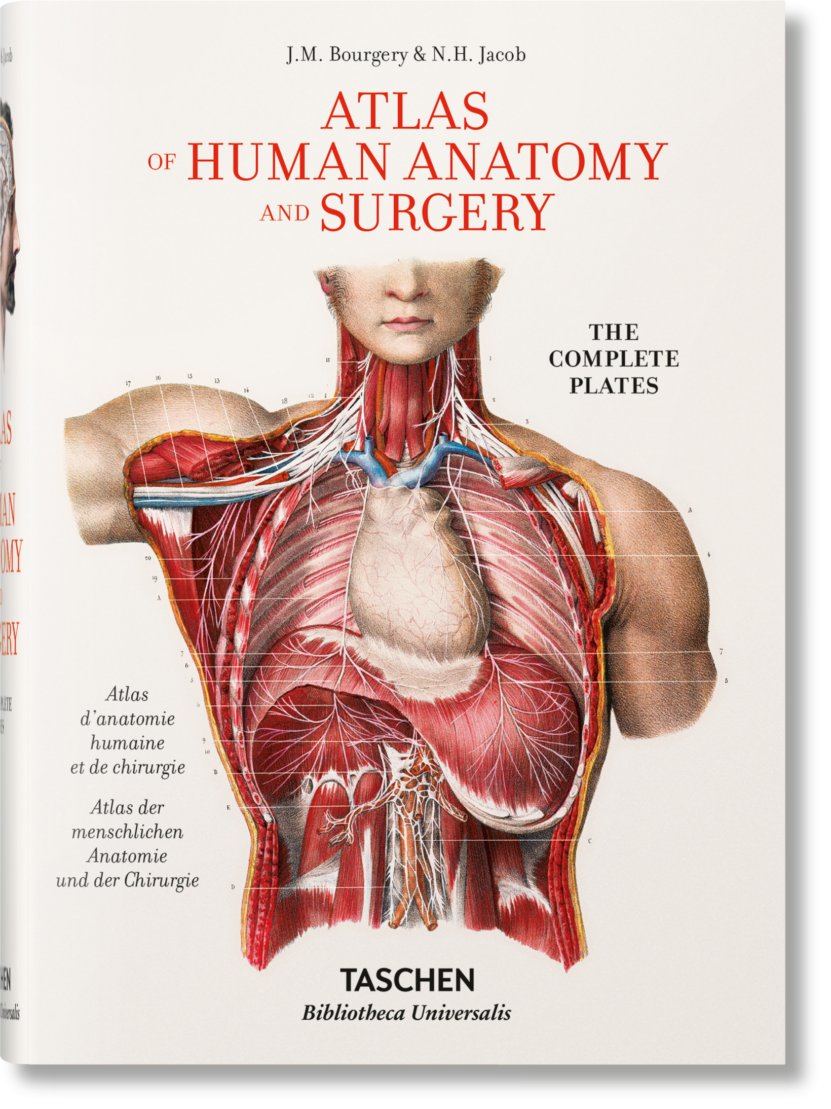 Bourgery. Atlas de anatomía humana y cirugía