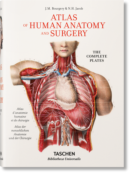 Bourgery. Atlas de anatomía humana y cirugía