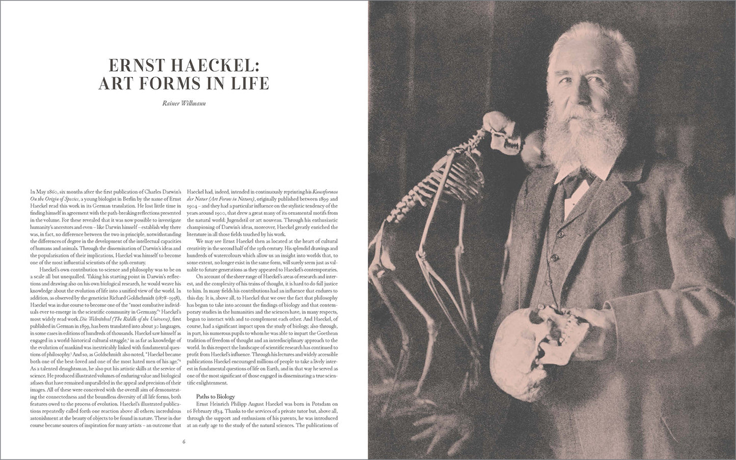The Art and Science of Ernst Haeckel