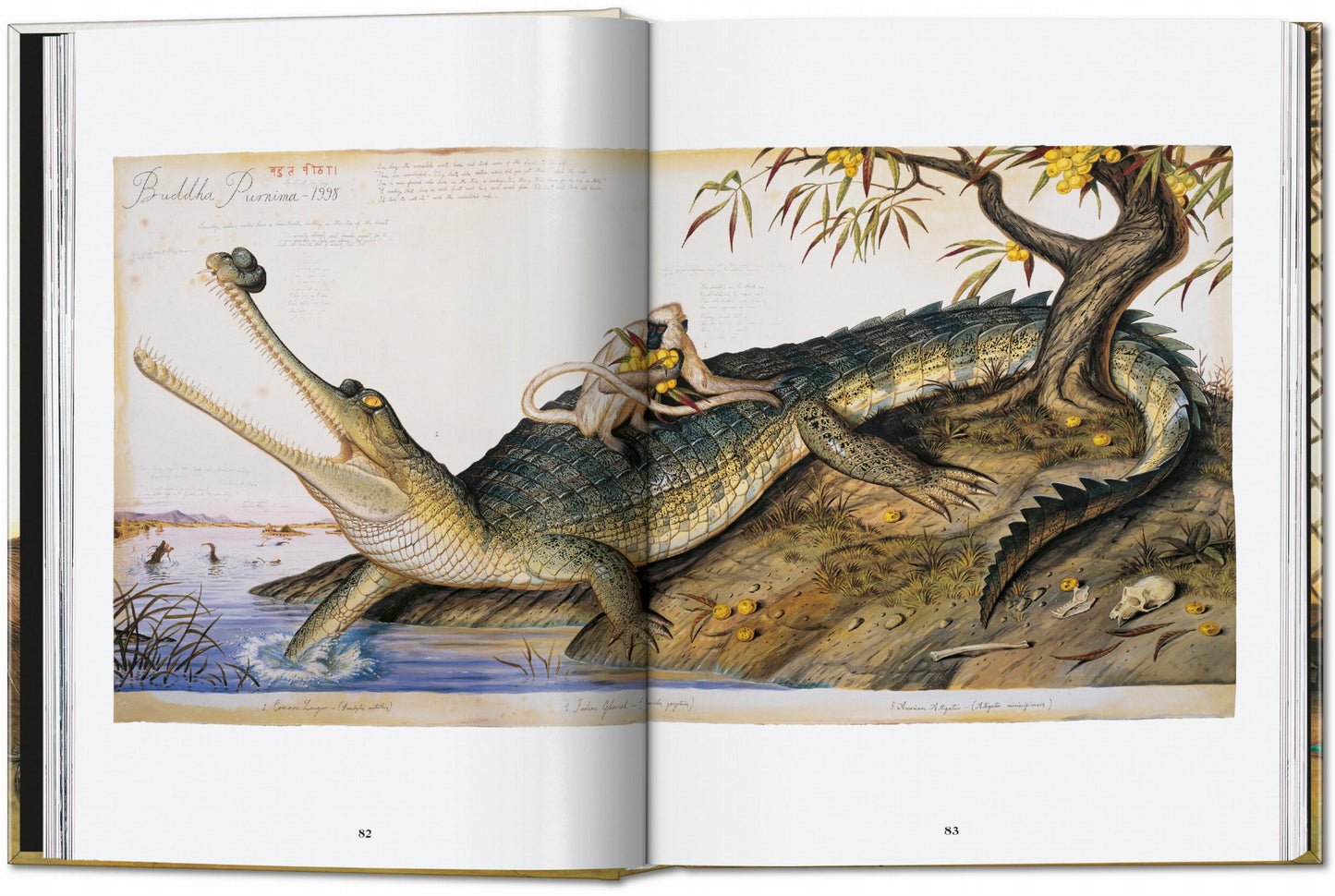 Walton Ford. 40.ª ed.