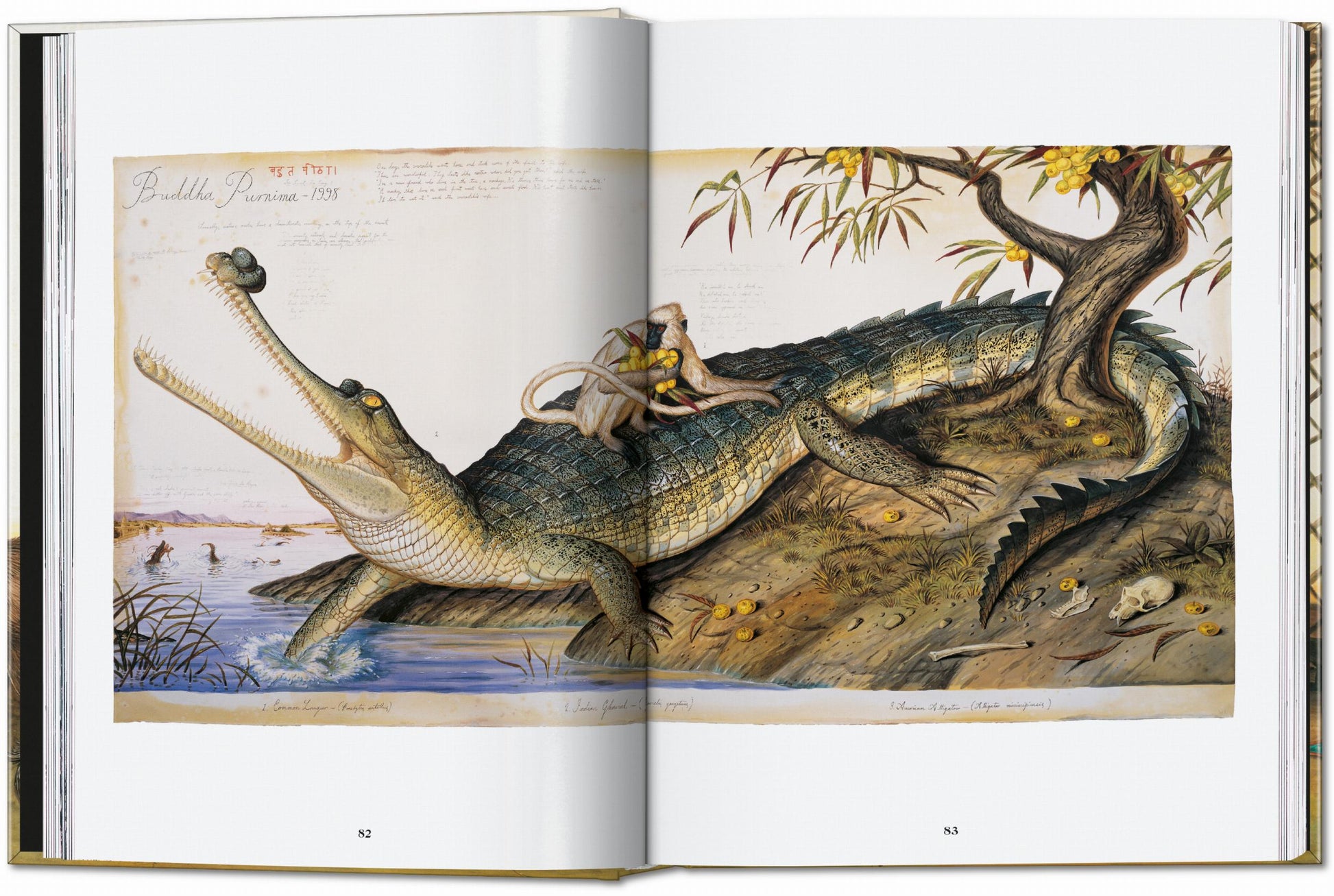 Walton Ford. 40.ª ed.