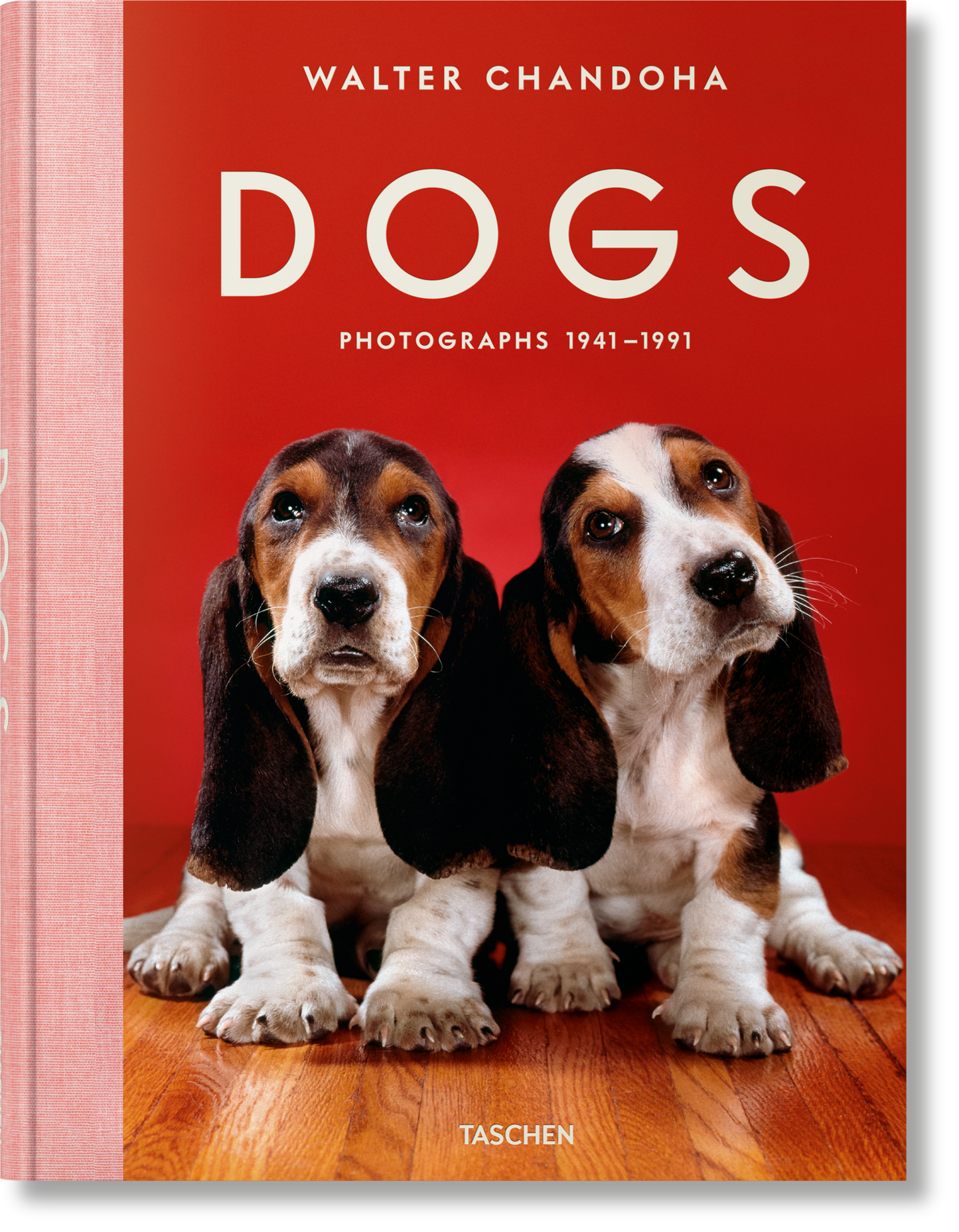 Walter Chandoha. Perros. Fotografías 1941–1991