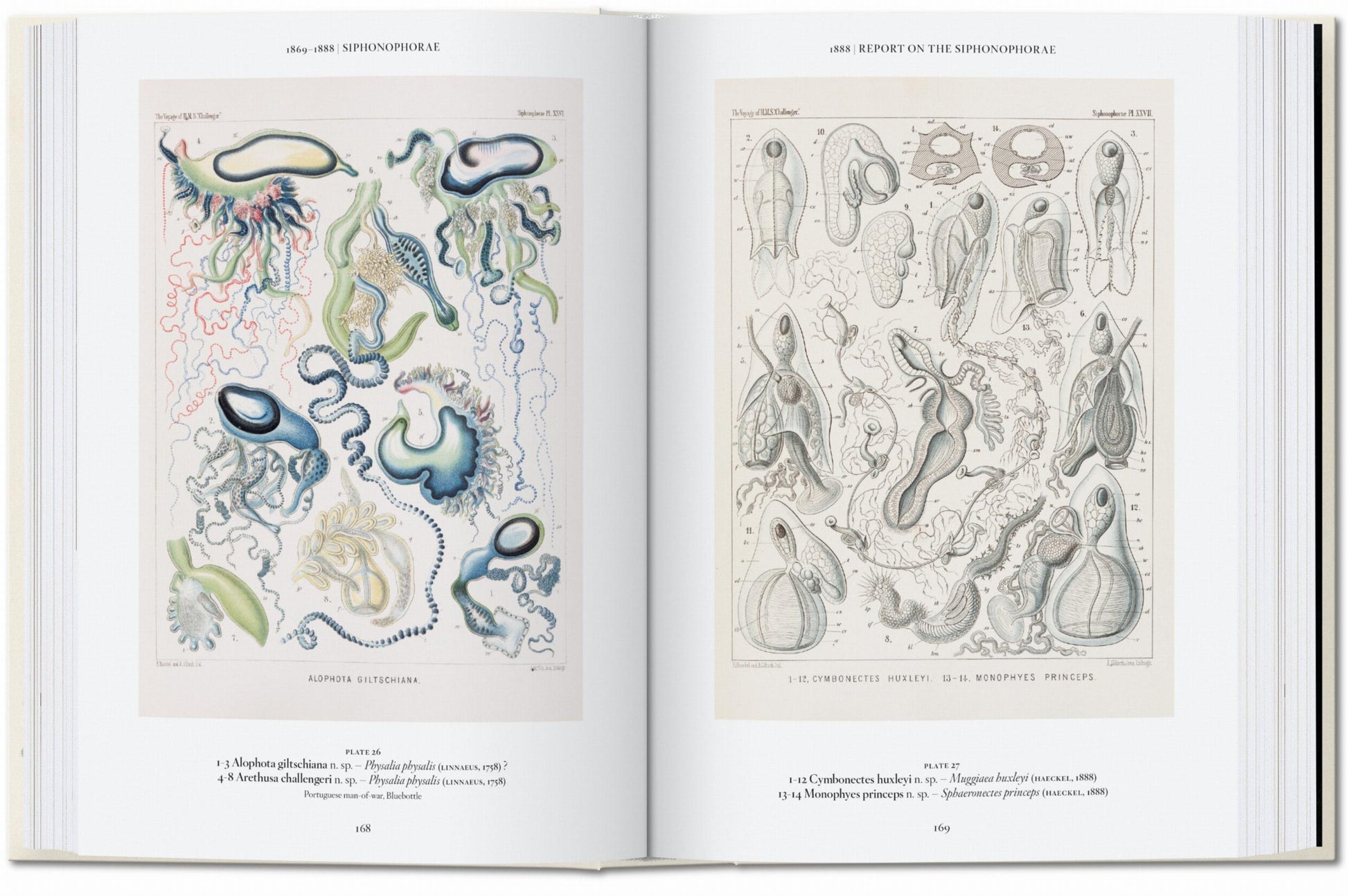El arte y la ciencia de Ernst Haeckel. 45.ª ed.
