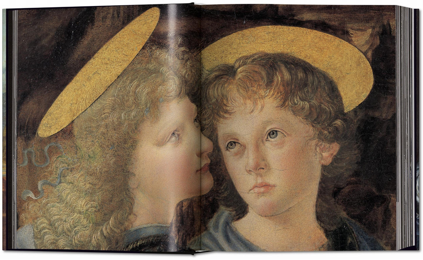 Leonardo. Pinturas y dibujos completos