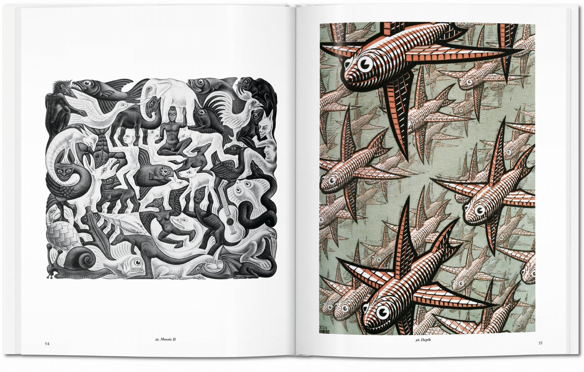 M.C. ESCHER. THE GRAPHIC WORK