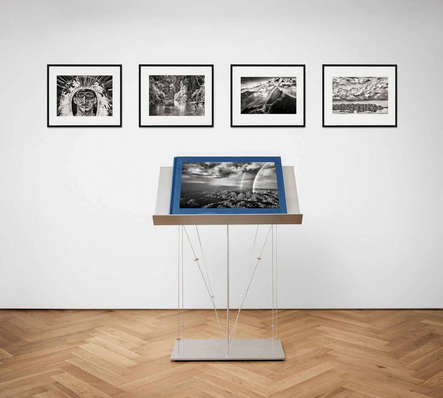 Sebastião Salgado. Amazônia, Edición de arte n.º 301–400 «El Paraná que conecta el río Negro con el río Cuyuní»