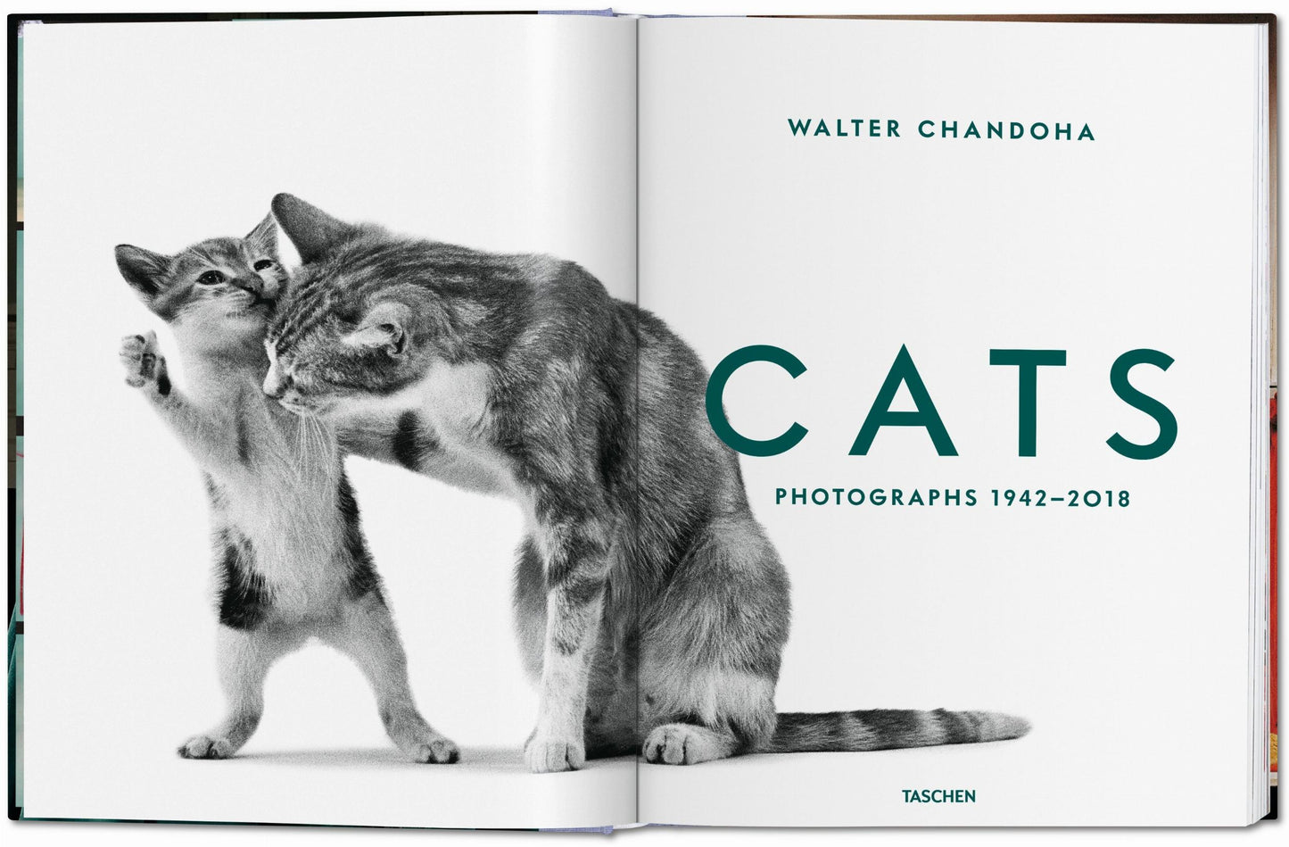 Walter Chandoha. Gatos. Fotografías 1942–2018