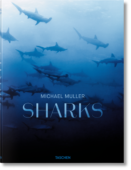 Michael Muller. Tiburones