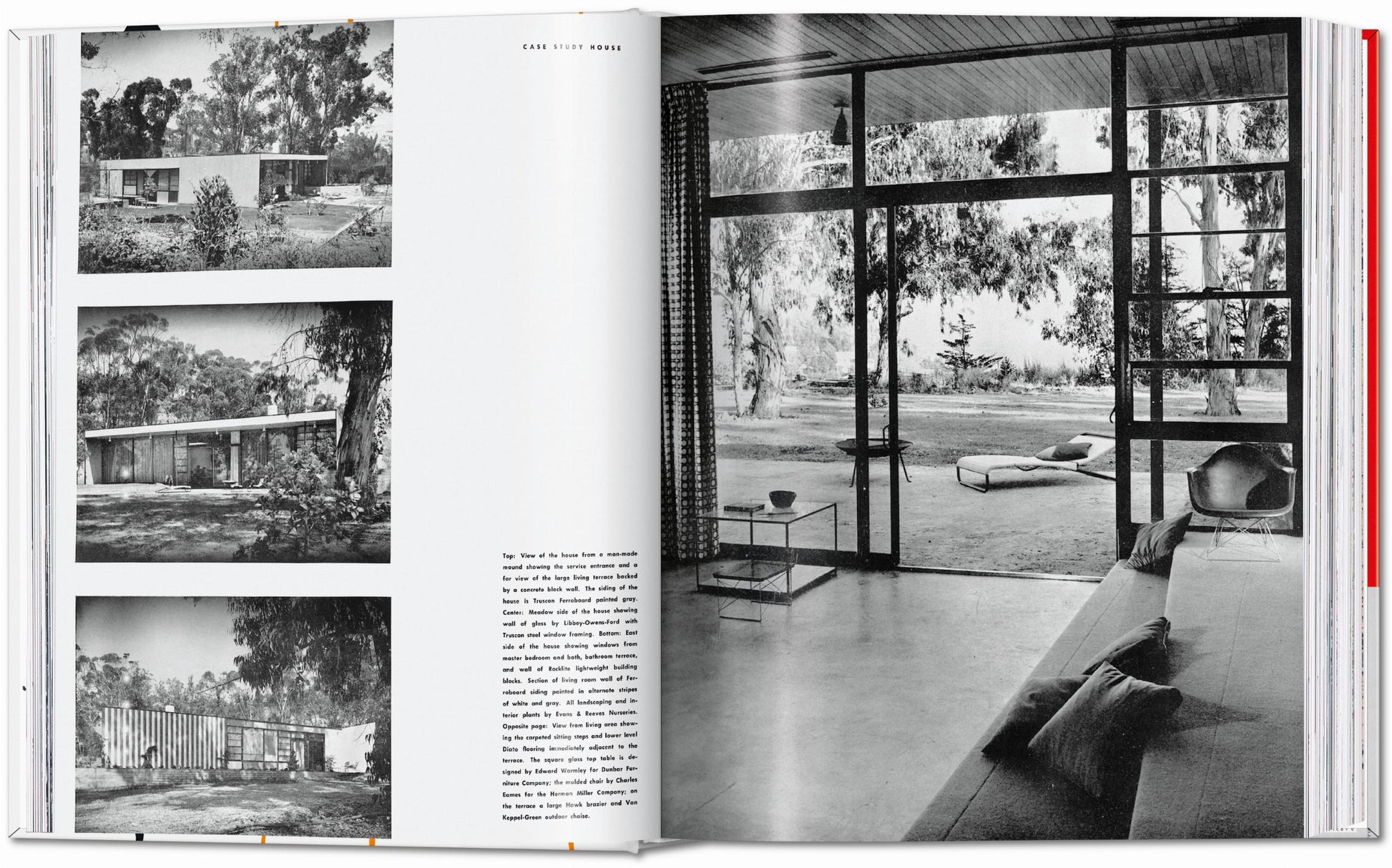 Arte y arquitectura 1950-1954