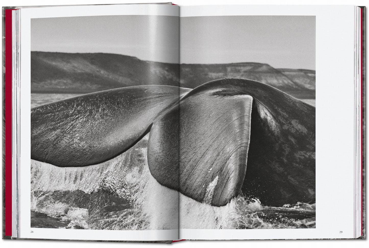 Sebastião Salgado. Génesis. 45.ª ed.