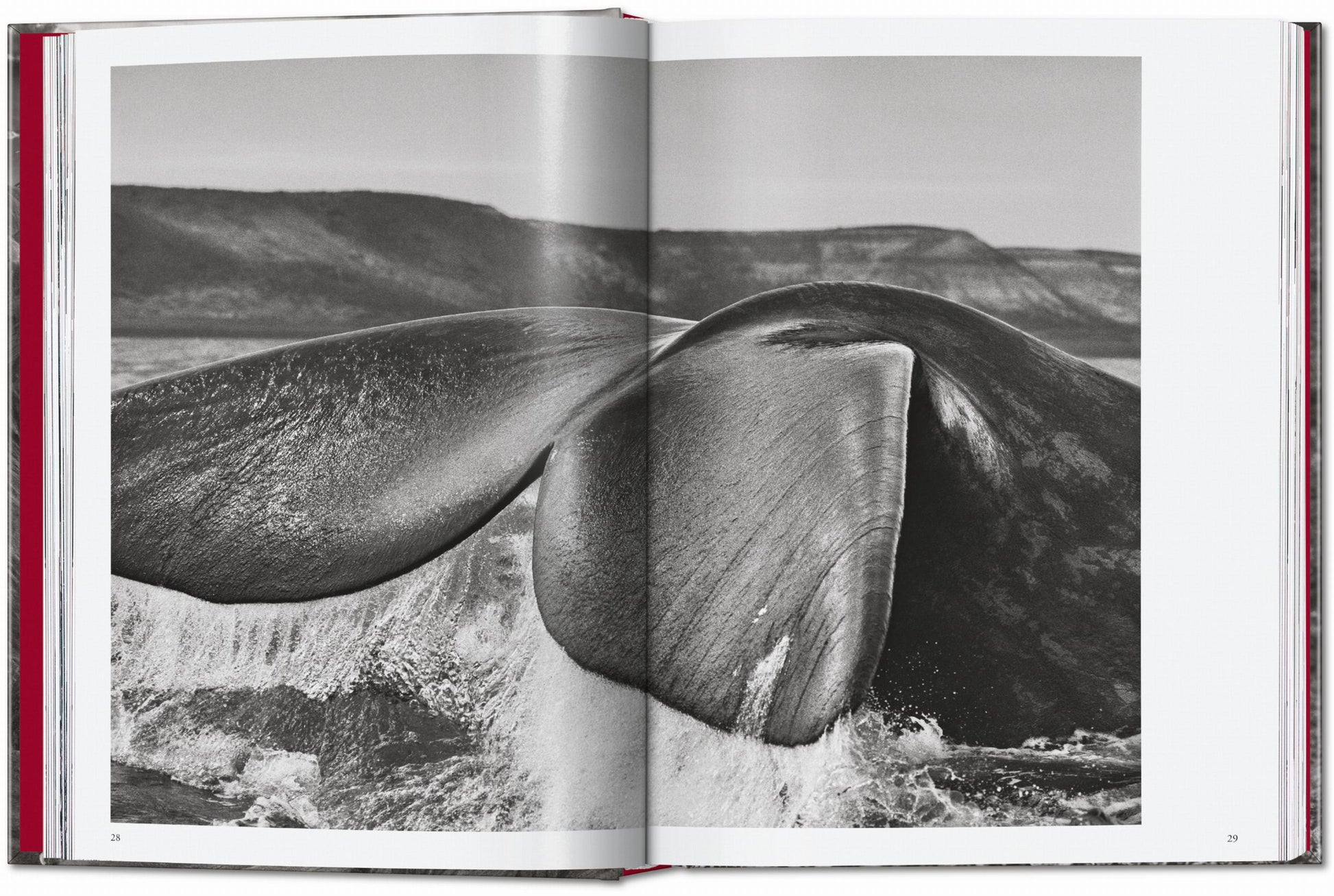 Sebastião Salgado. Génesis. 45.ª ed.