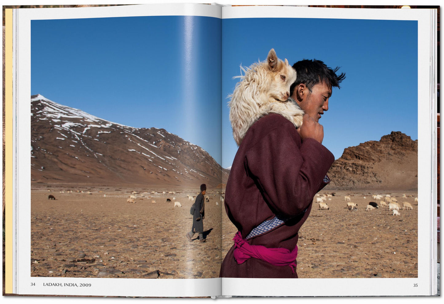 Steve McCurry. Animales