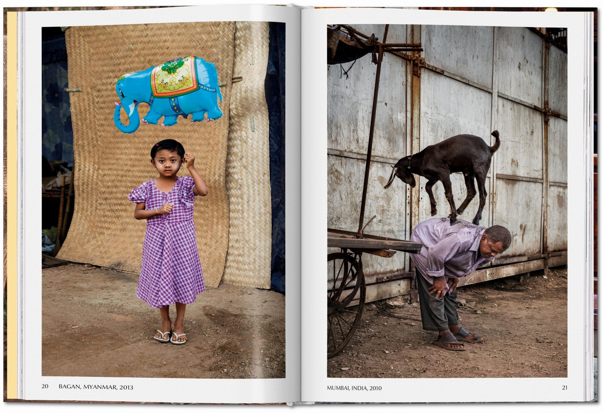 Steve McCurry. Animales