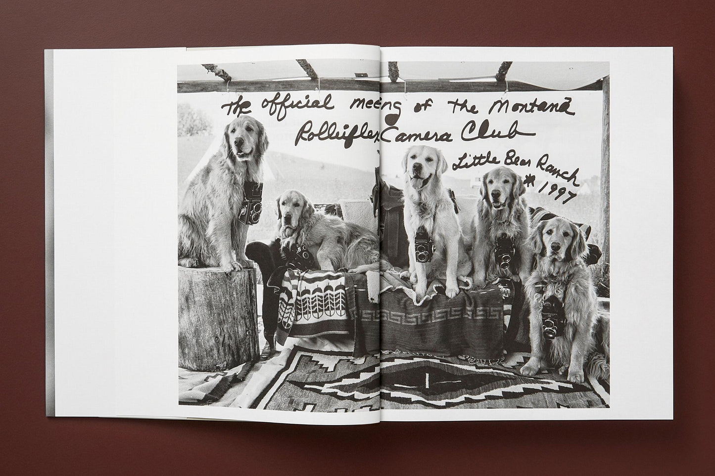 BRUCE WEBER. THE GOLDEN RETRIEVER PHOTOGRAPHIC SOCIETY