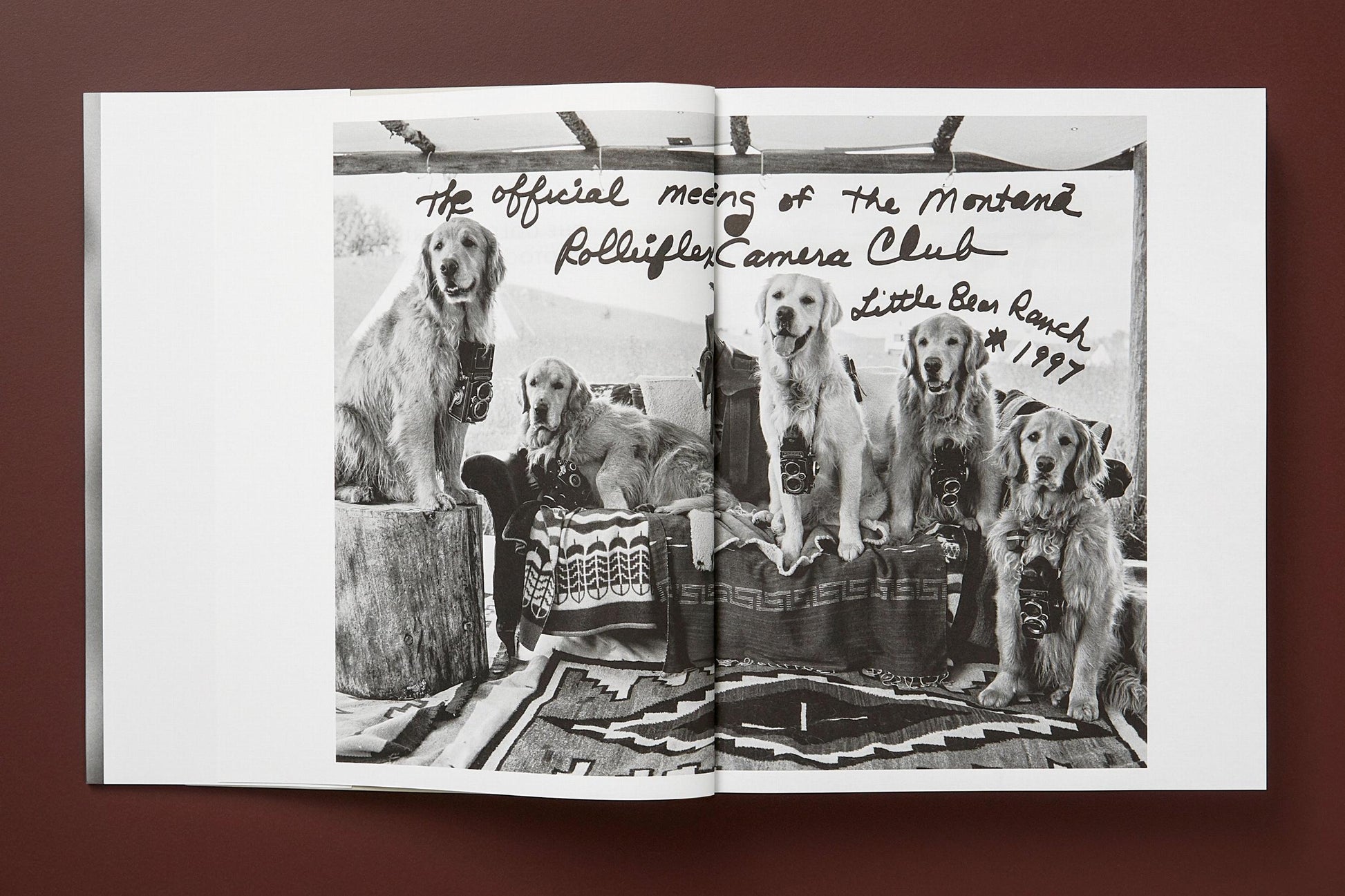 BRUCE WEBER. THE GOLDEN RETRIEVER PHOTOGRAPHIC SOCIETY
