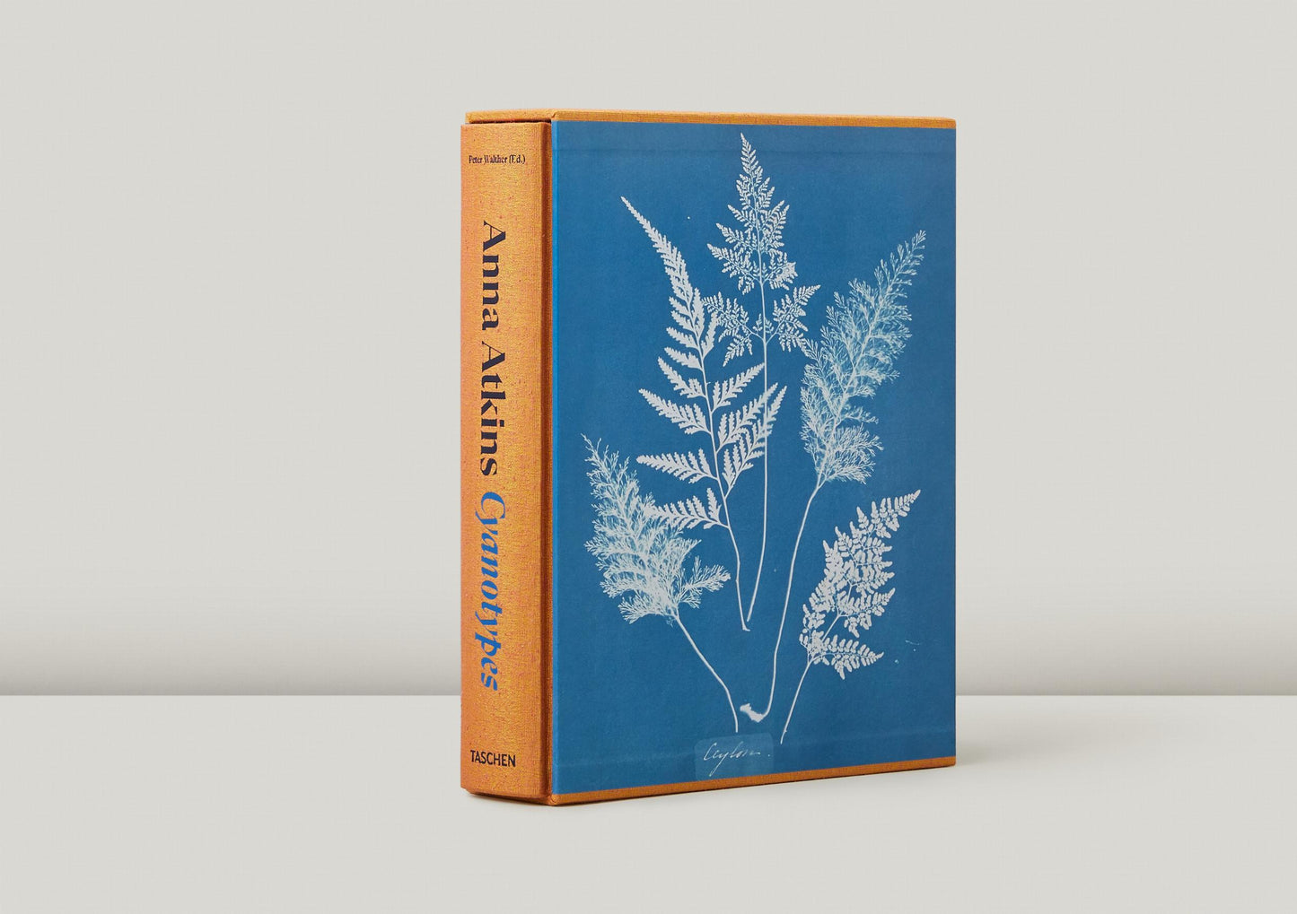 Anna Atkins. Cianotipos