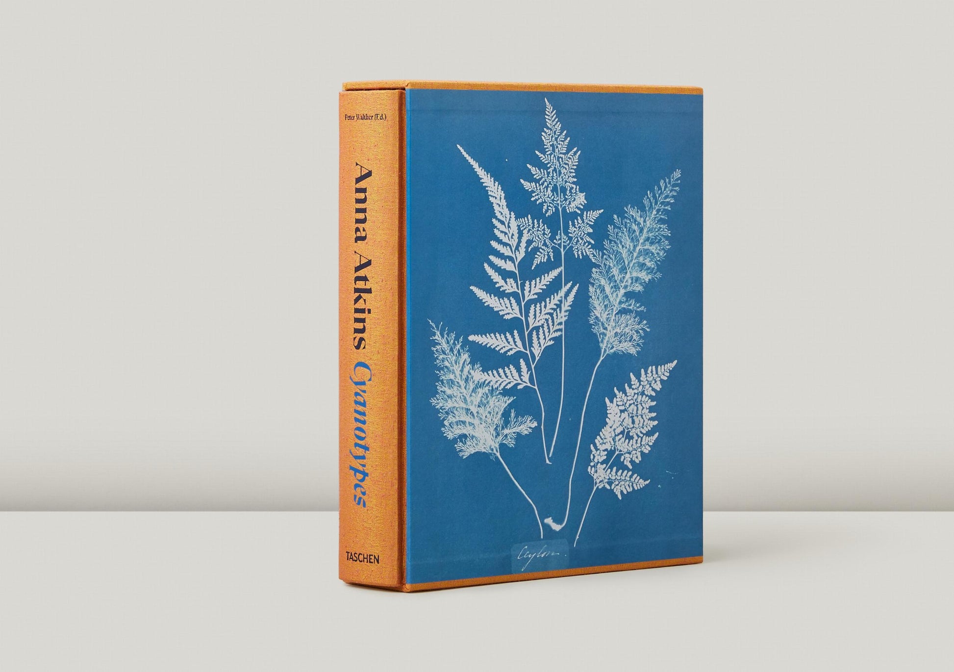 Anna Atkins. Cianotipos