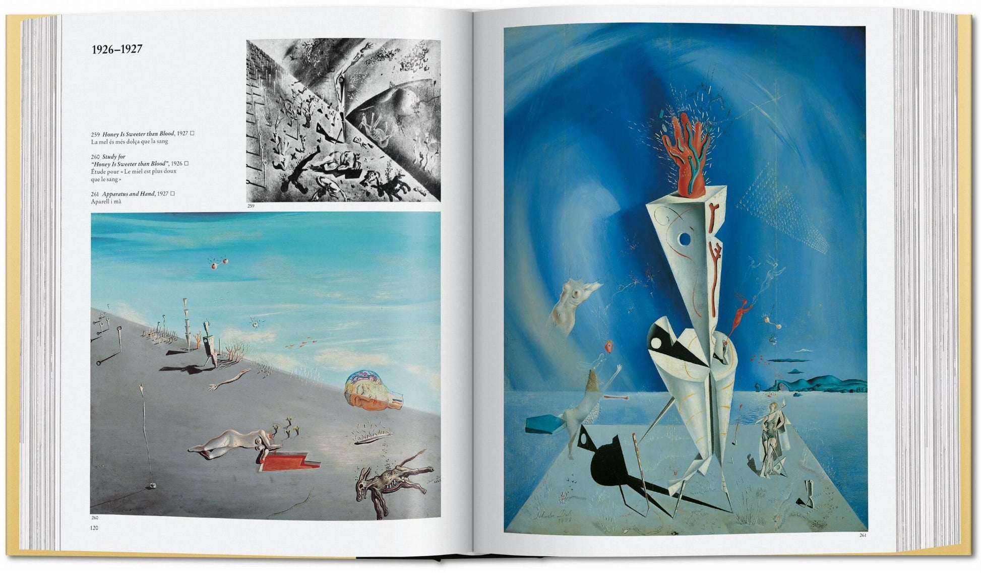 Dalí. Las Pinturas