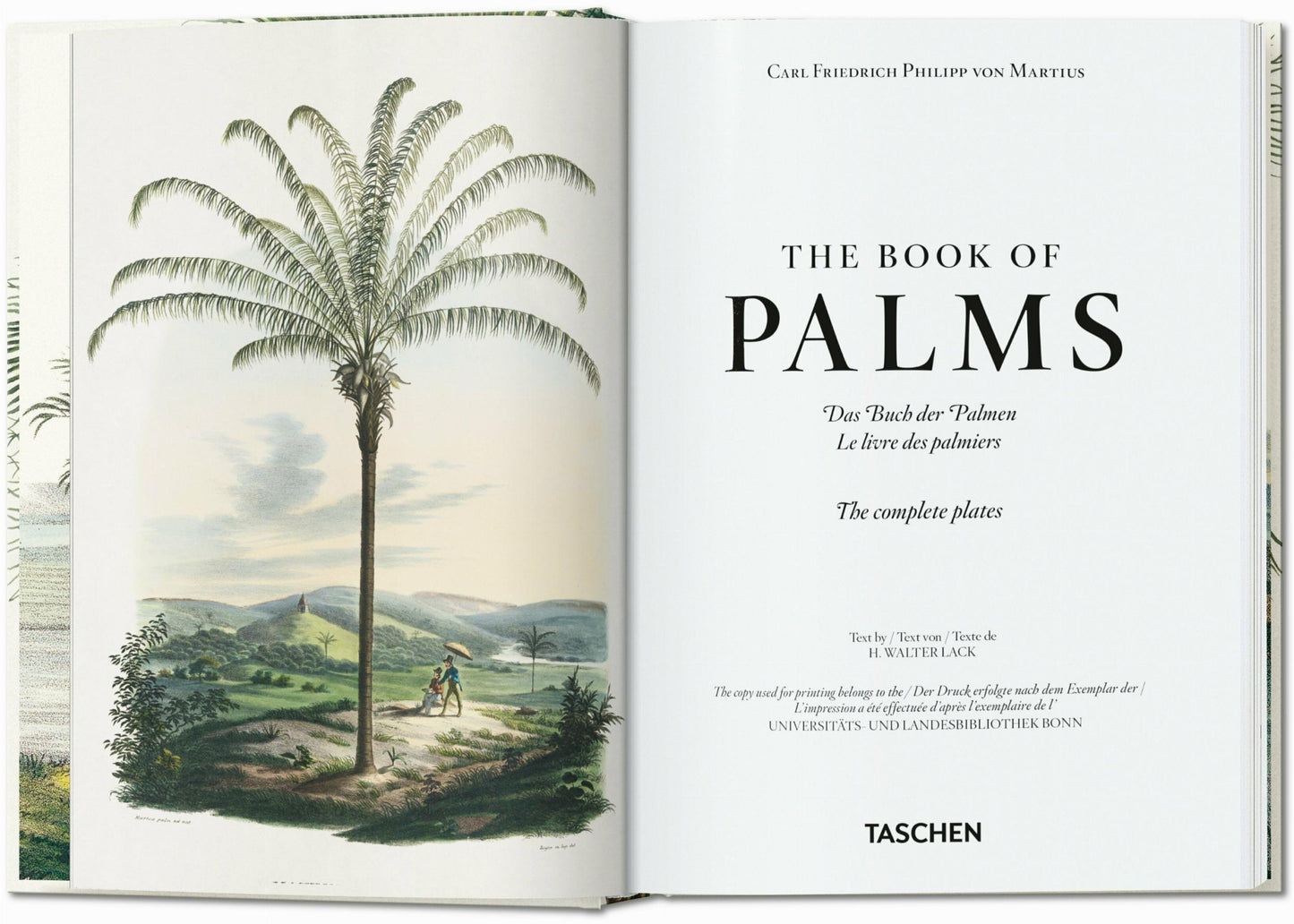 Martius. El libro de las palmeras. 45.ª ed.