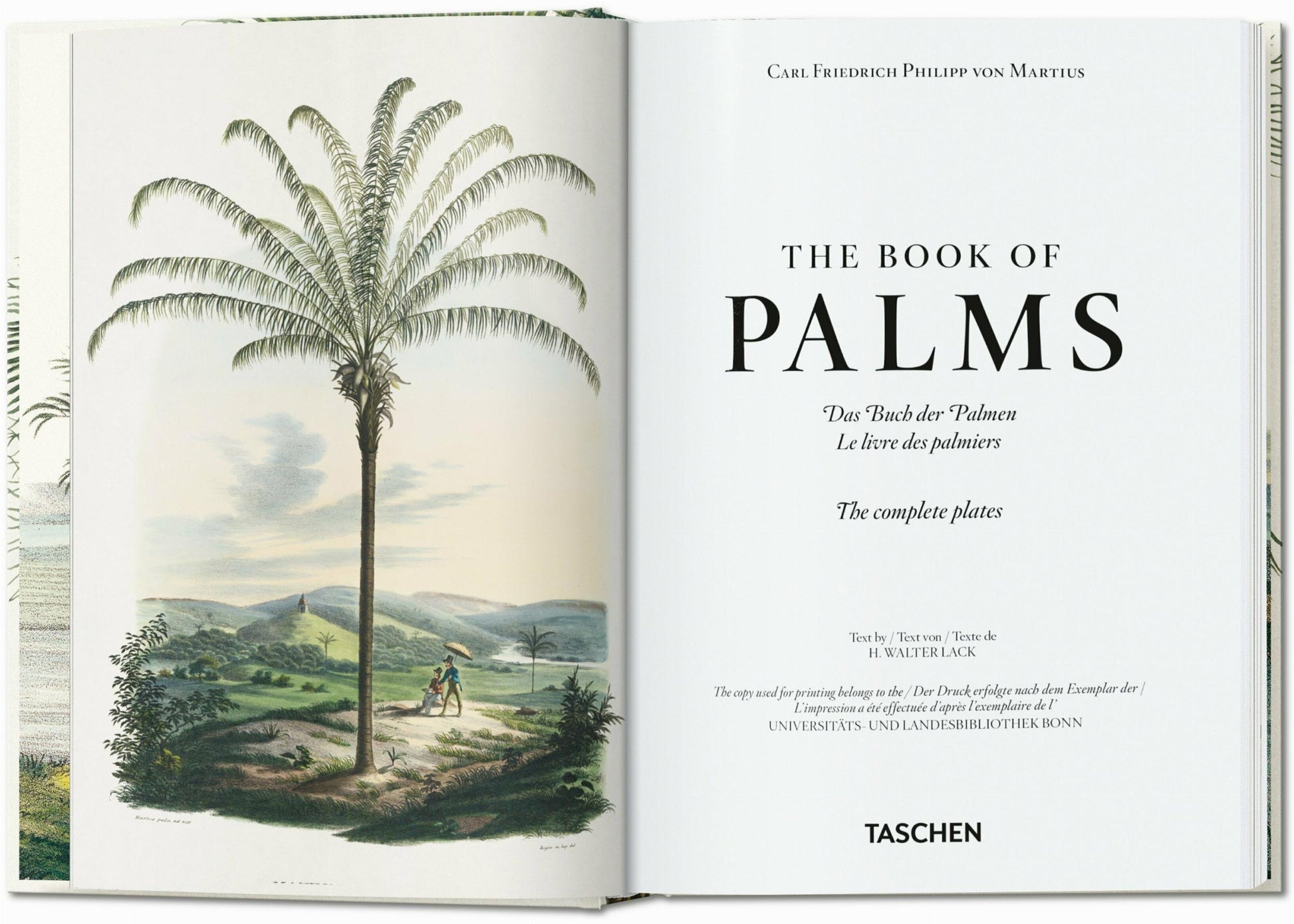 Martius. El libro de las palmeras. 45.ª ed.