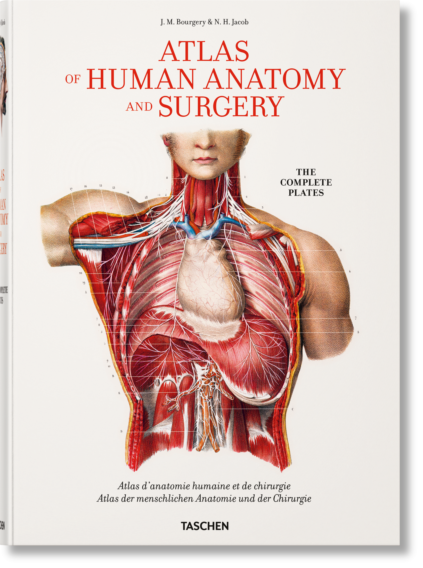 Bourgery. Atlas de Anatomía Humana y Cirugía