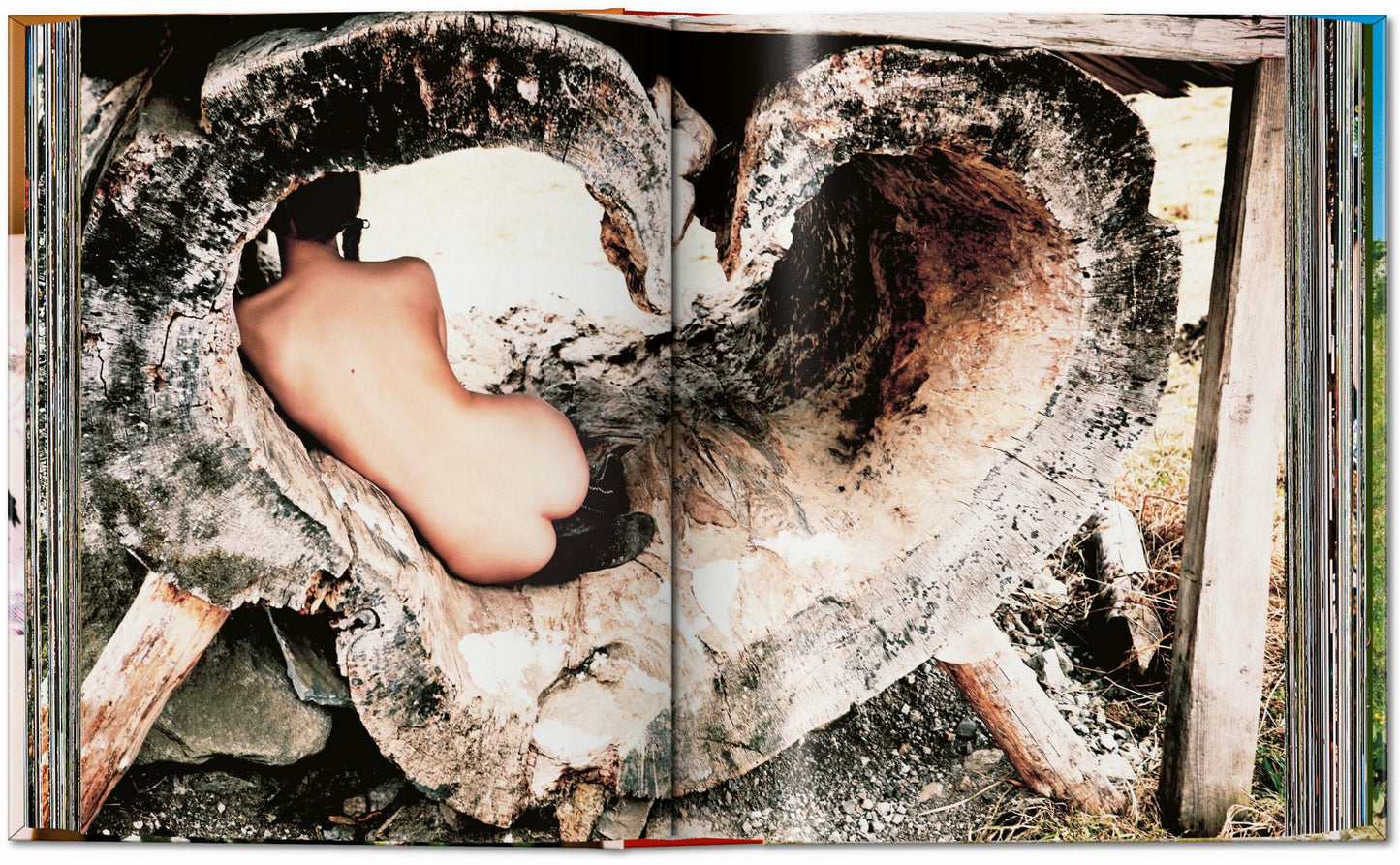 Ellen von Unwerth. Patria