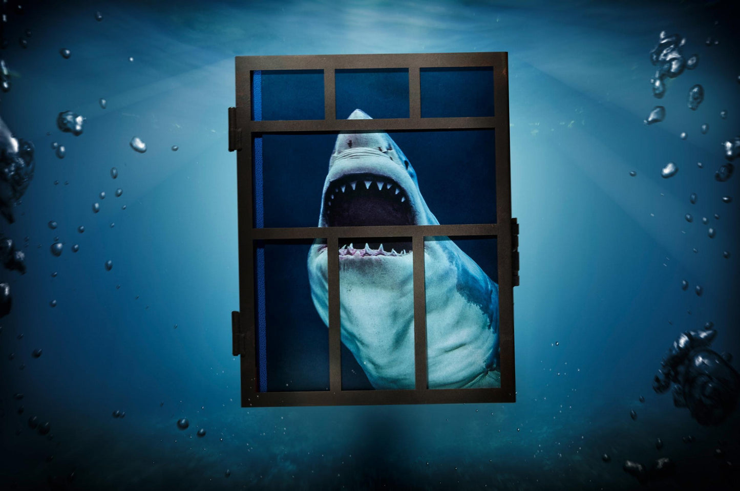 Michael Muller. Sharks, Art Edition núm. 101–200 «Bajo estudio»