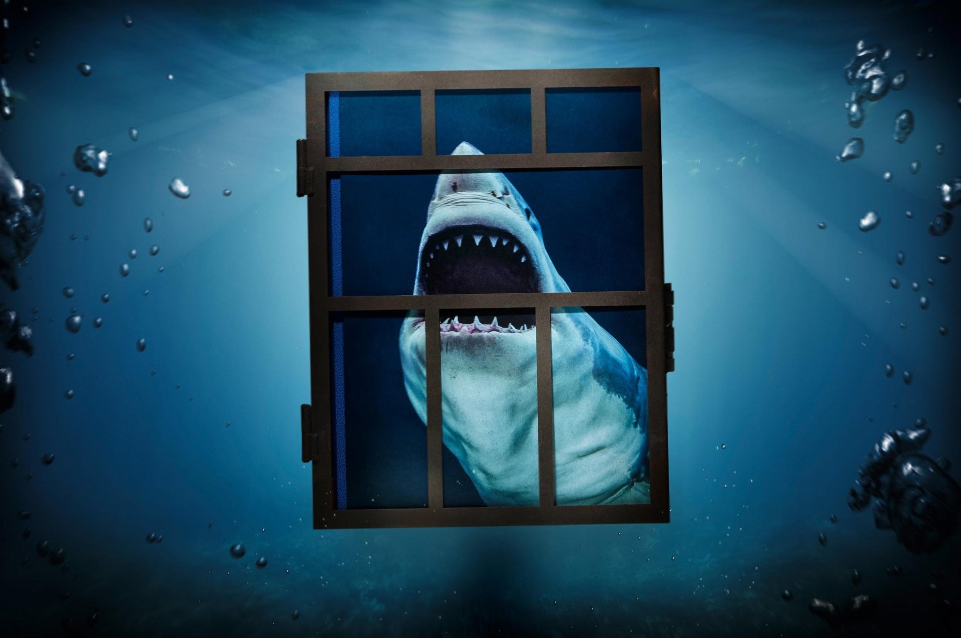 Michael Muller. Sharks, Art Edition núm. 101–200 «Bajo estudio»