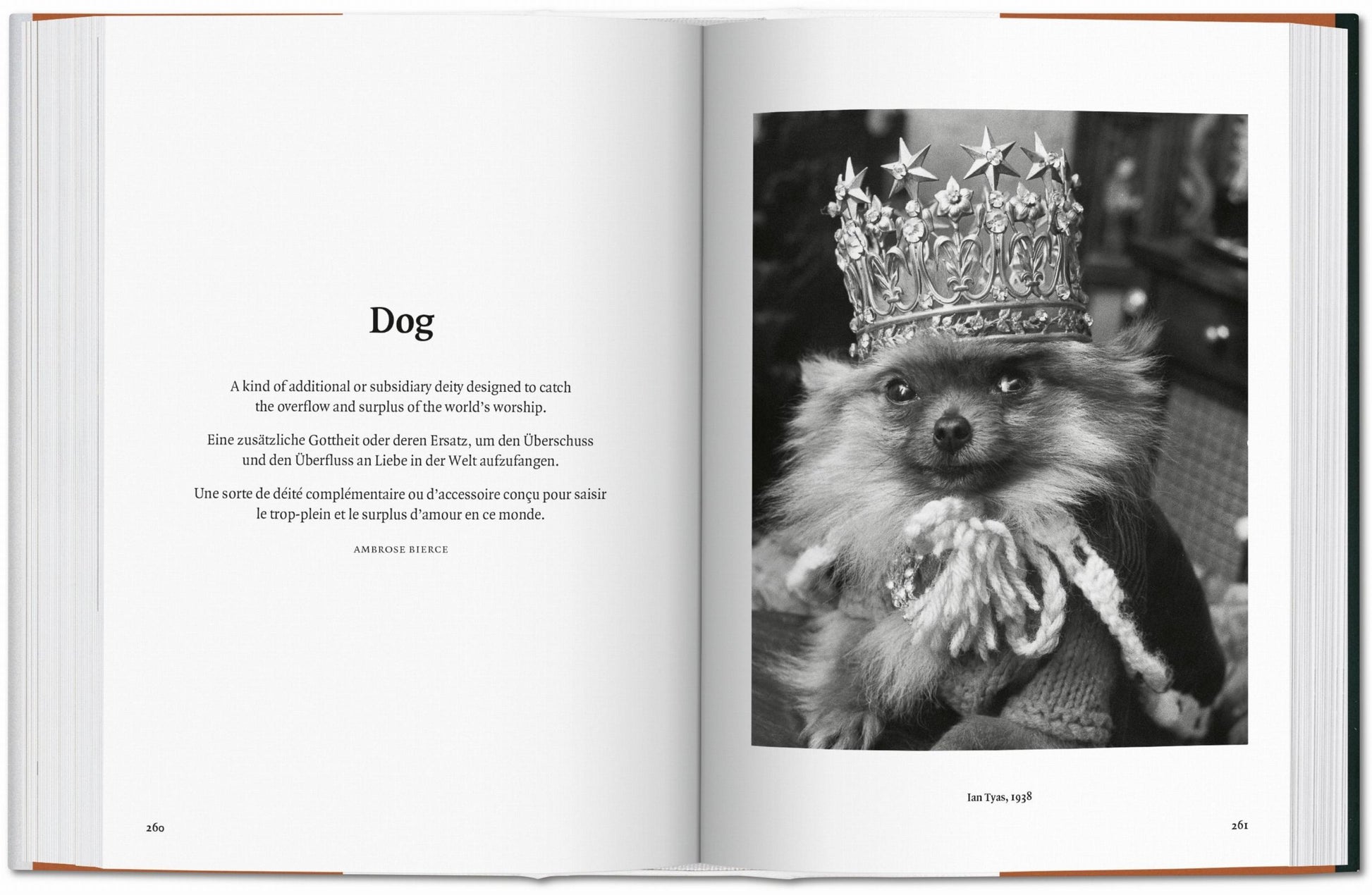 El perro en la fotografía 1839-hoy