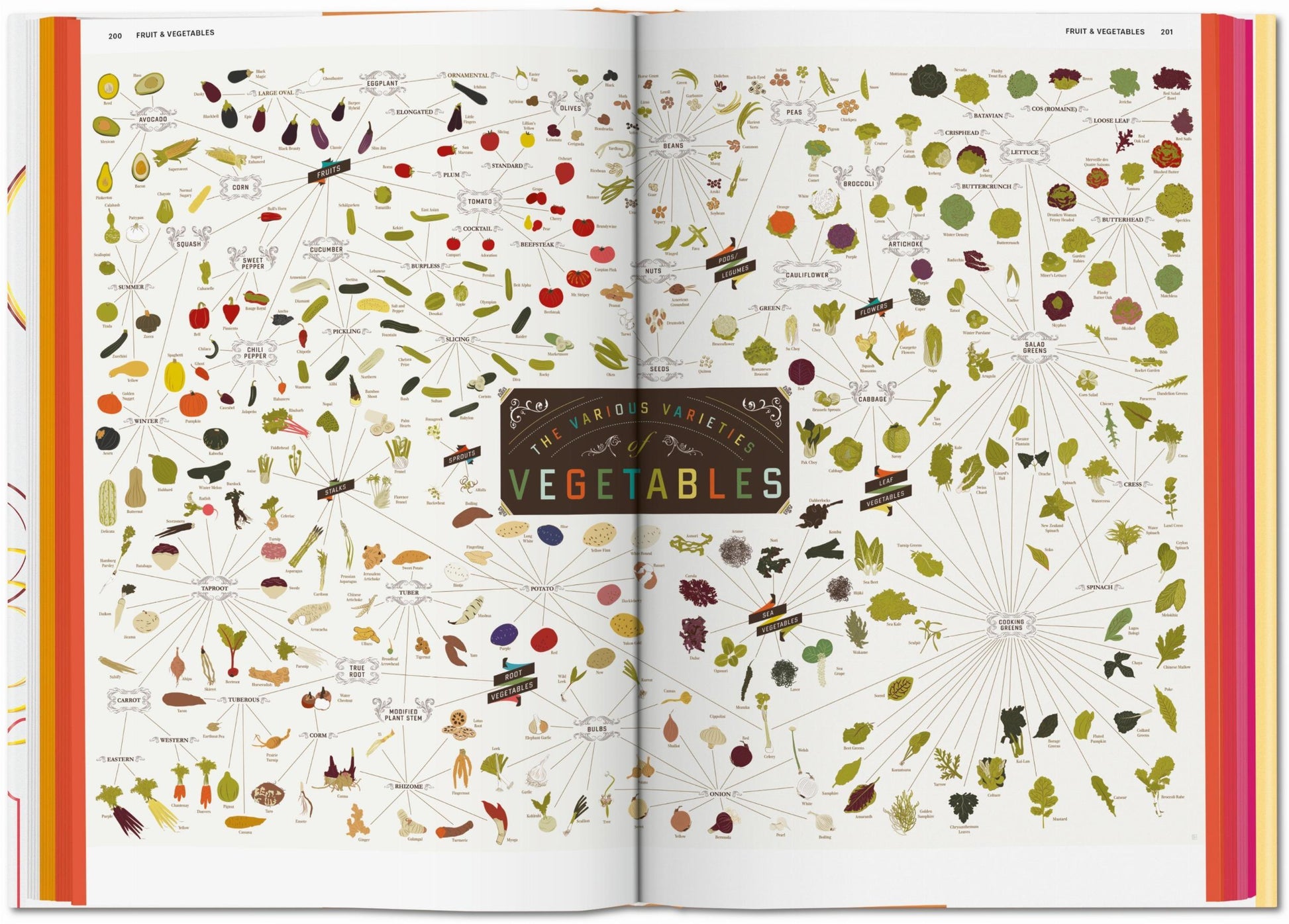 FOOD & DRINK INFOGRAPHICS. A VISUAL GUIDE TO CULINARY PLEASURES
