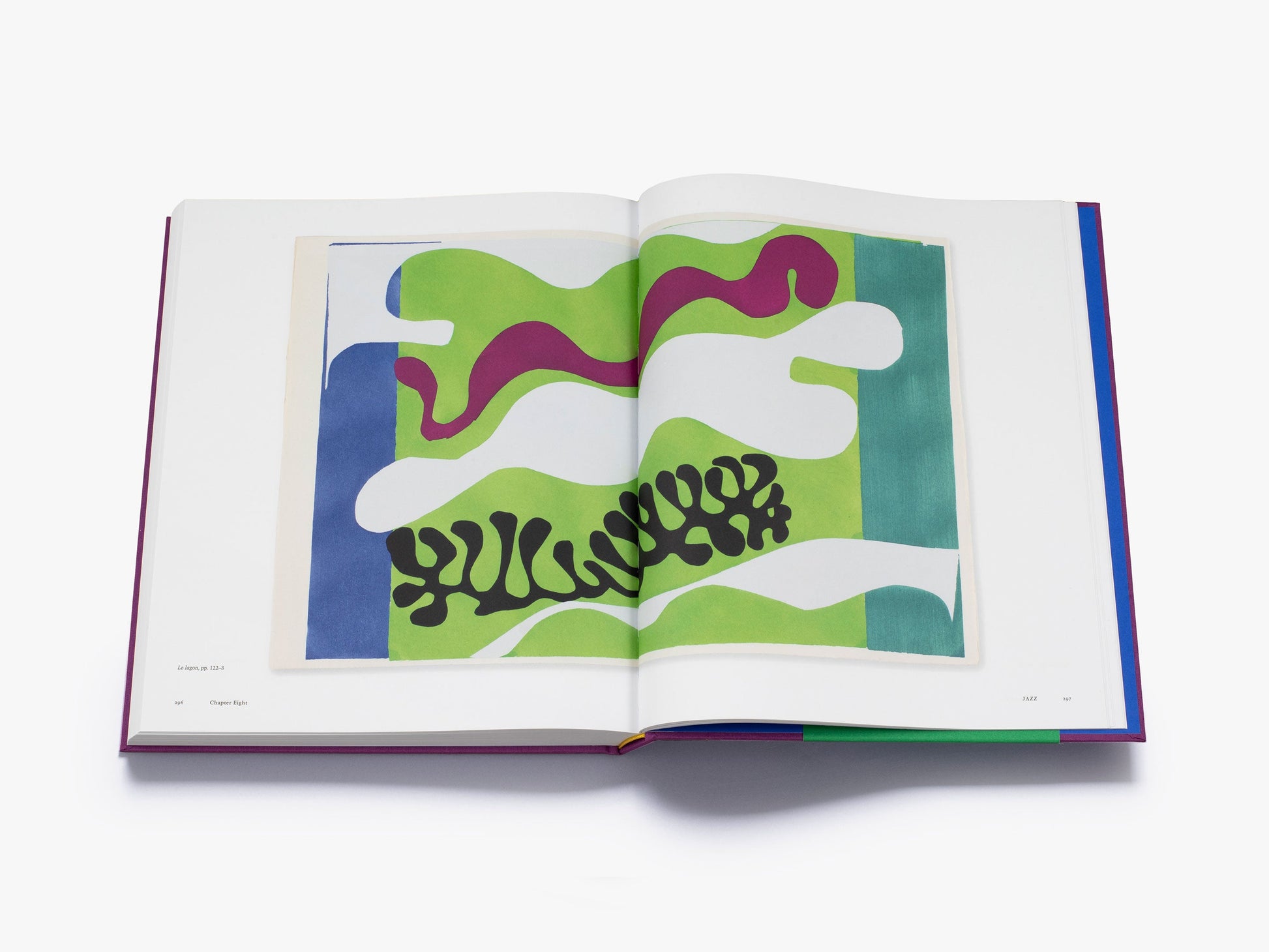 Matisse: The Books