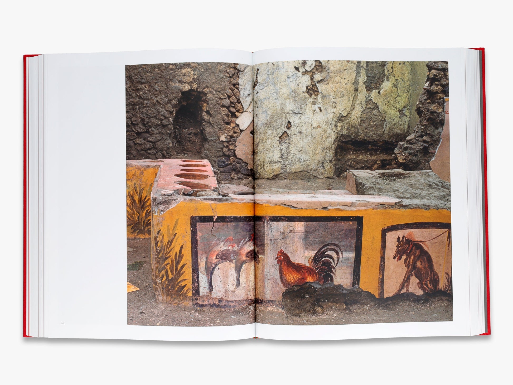 Inside Pompeii – A Financial Times Best Book of 2023
