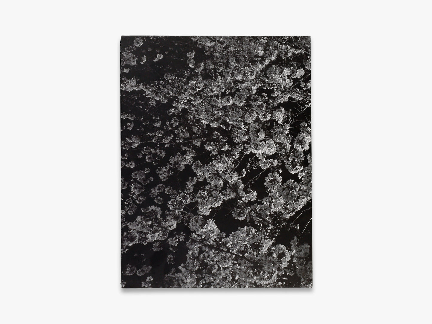 Daido Moriyama – Record 2