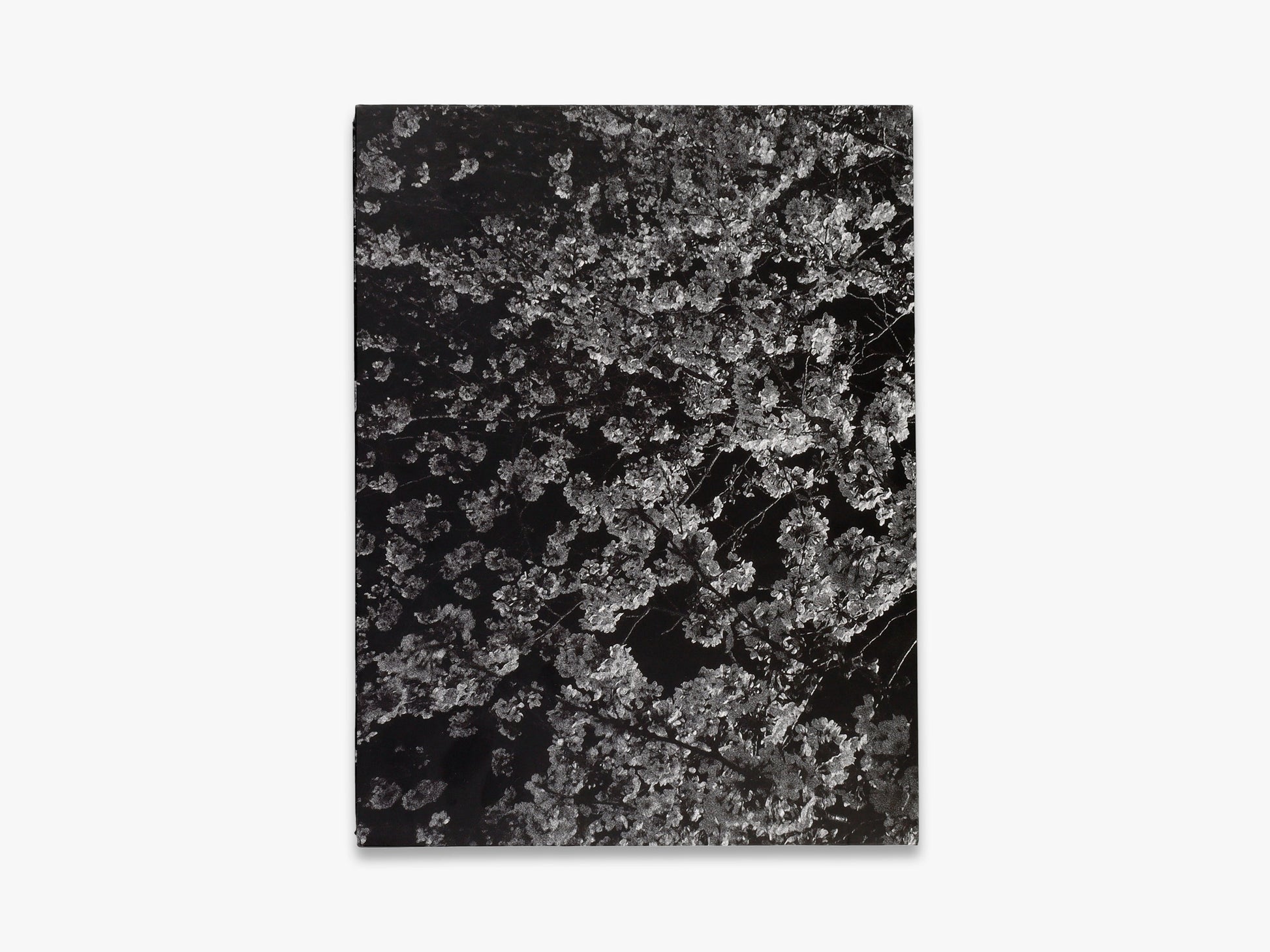 Daido Moriyama – Record 2
