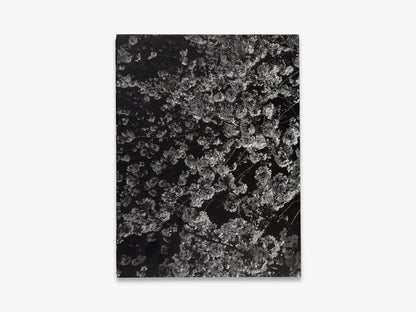 Daido Moriyama – Record 2