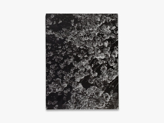 Daido Moriyama – Record 2