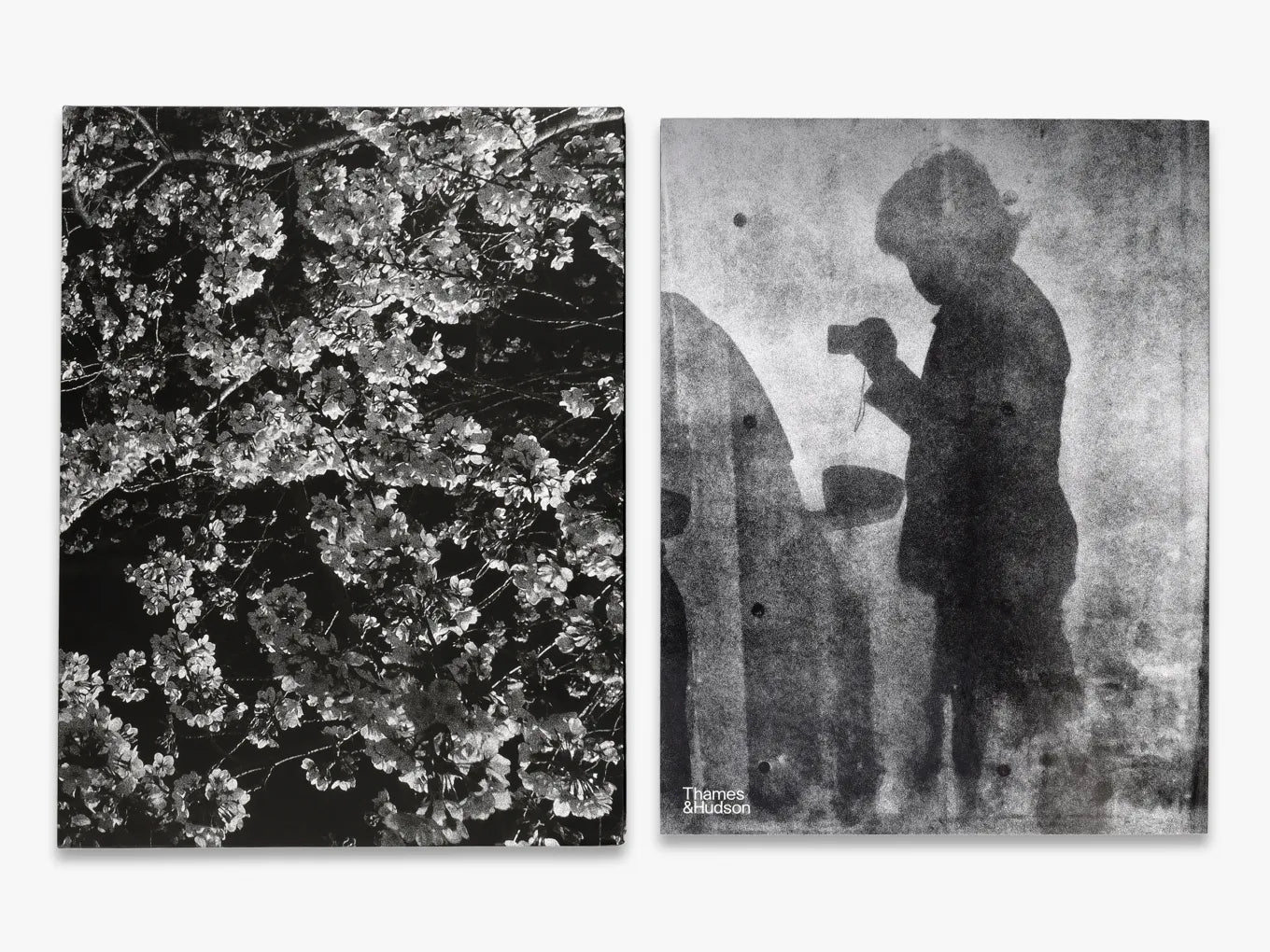Daido Moriyama – Record 2